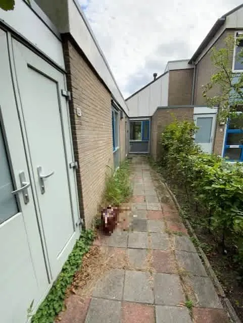 Mozartstraat