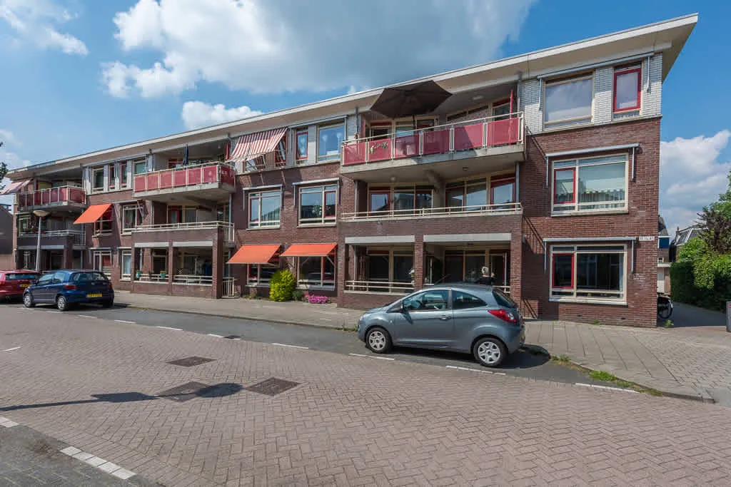 Johan den Haenstraat