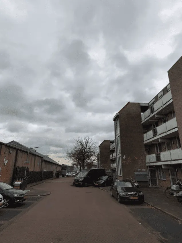Swammerdamstraat