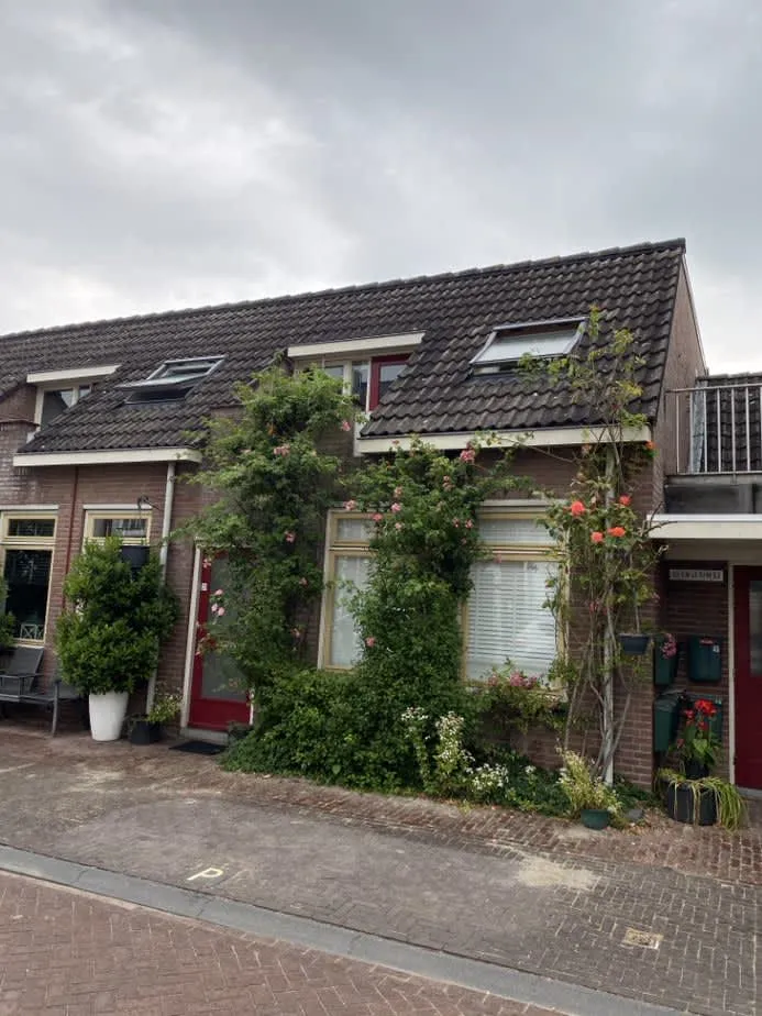 Vogelenzang