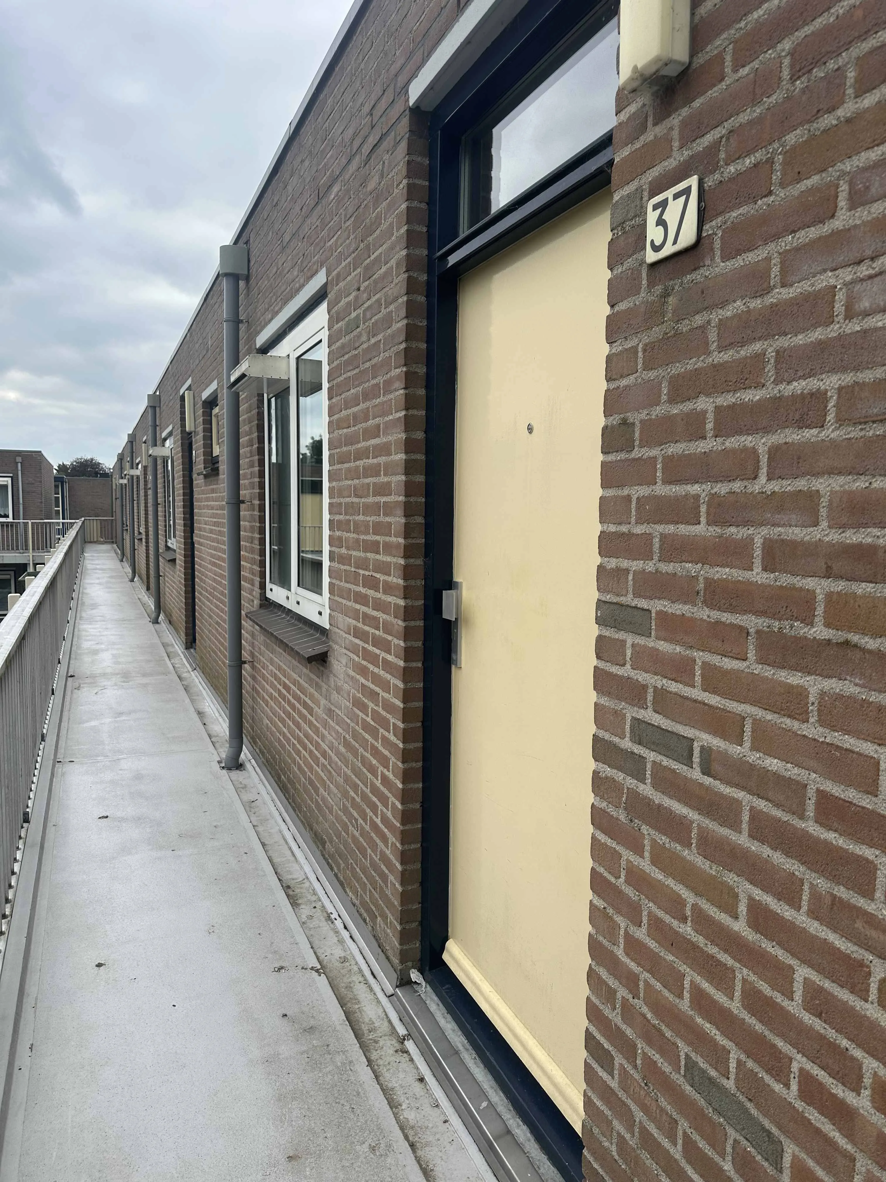Loefzijde