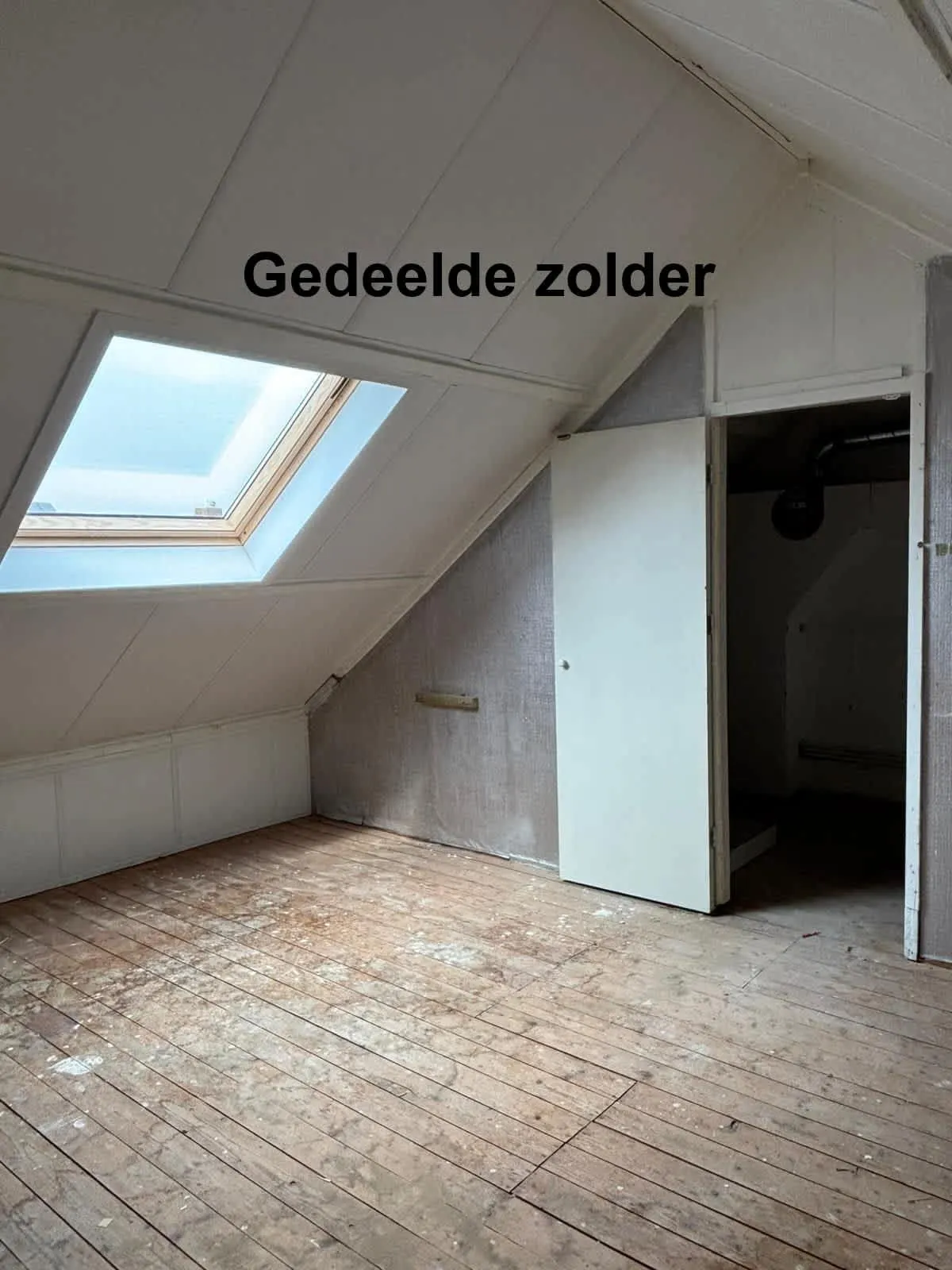 Thumbnail 26