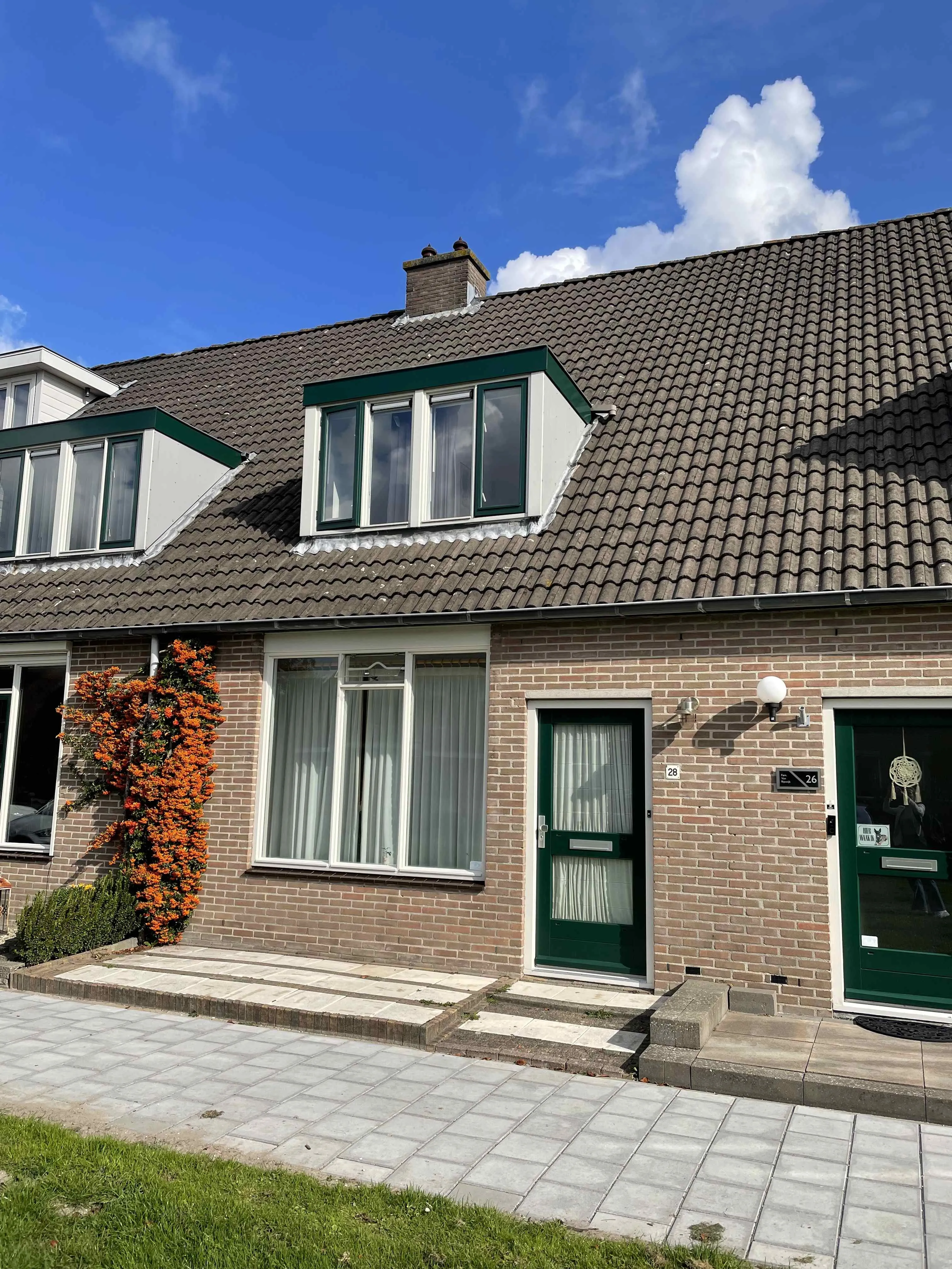 Papaverveld