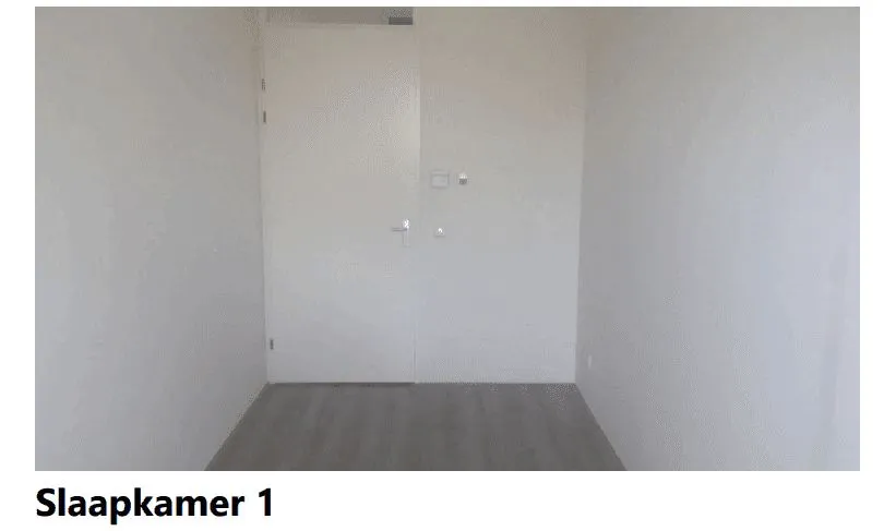 Thumbnail 15