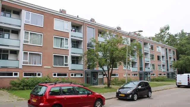 Titus Brandsmalaan