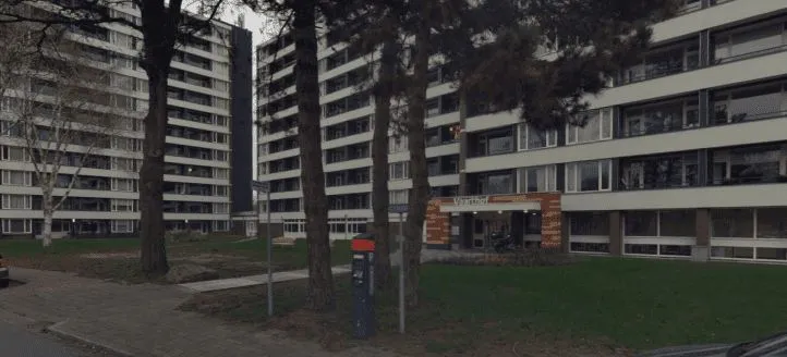 Duivenwal