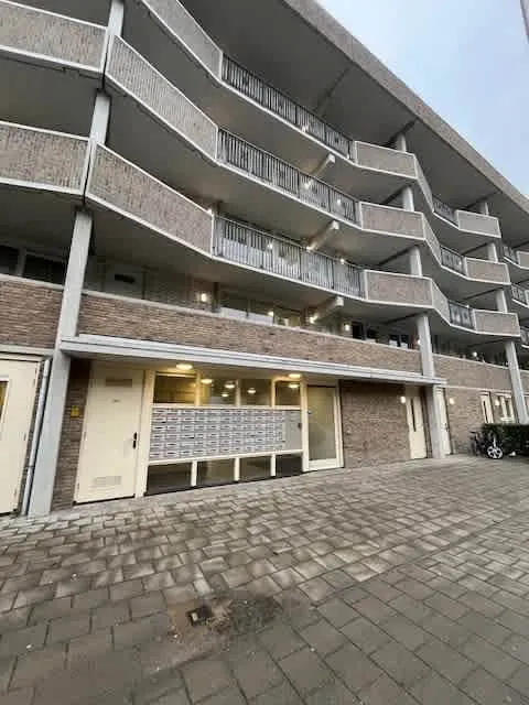 Nijeveldsingel