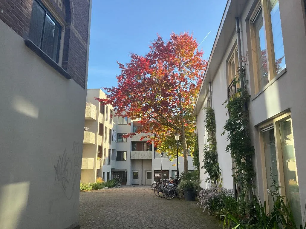 Ridderstraat 116 4101BK Culemborg