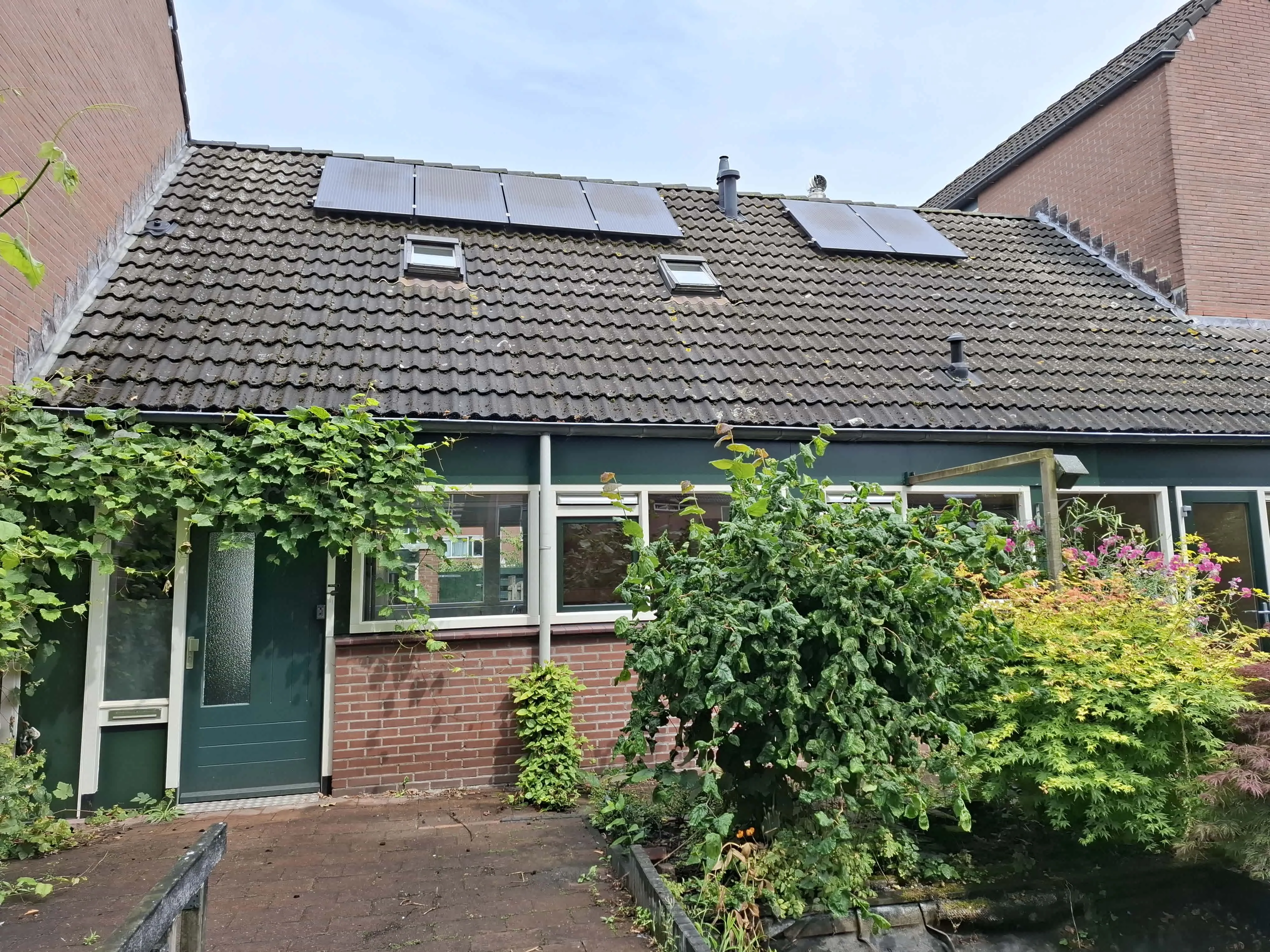 Hoefblad