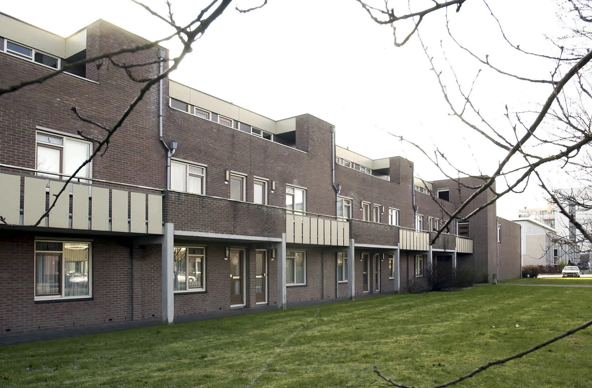 Paladijnenweg