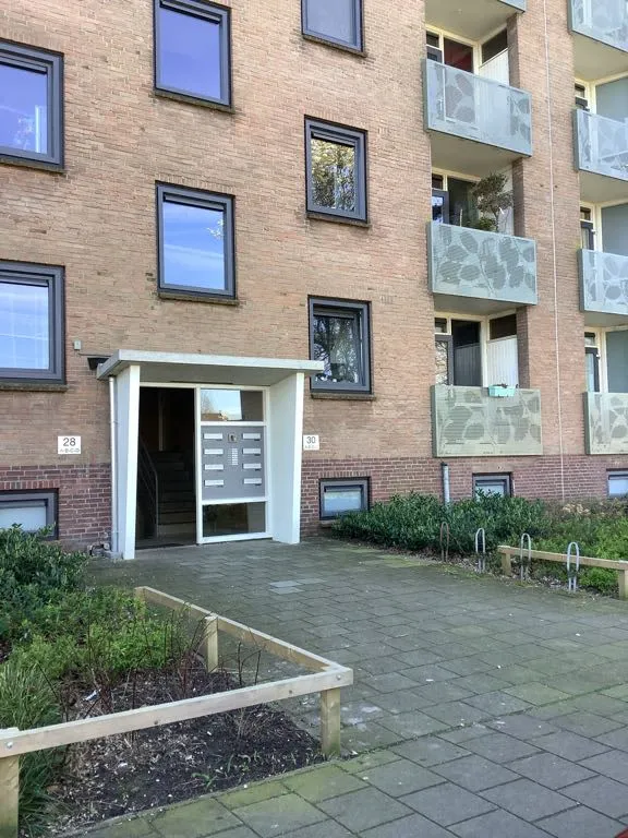 De Savornin Lohmanweg