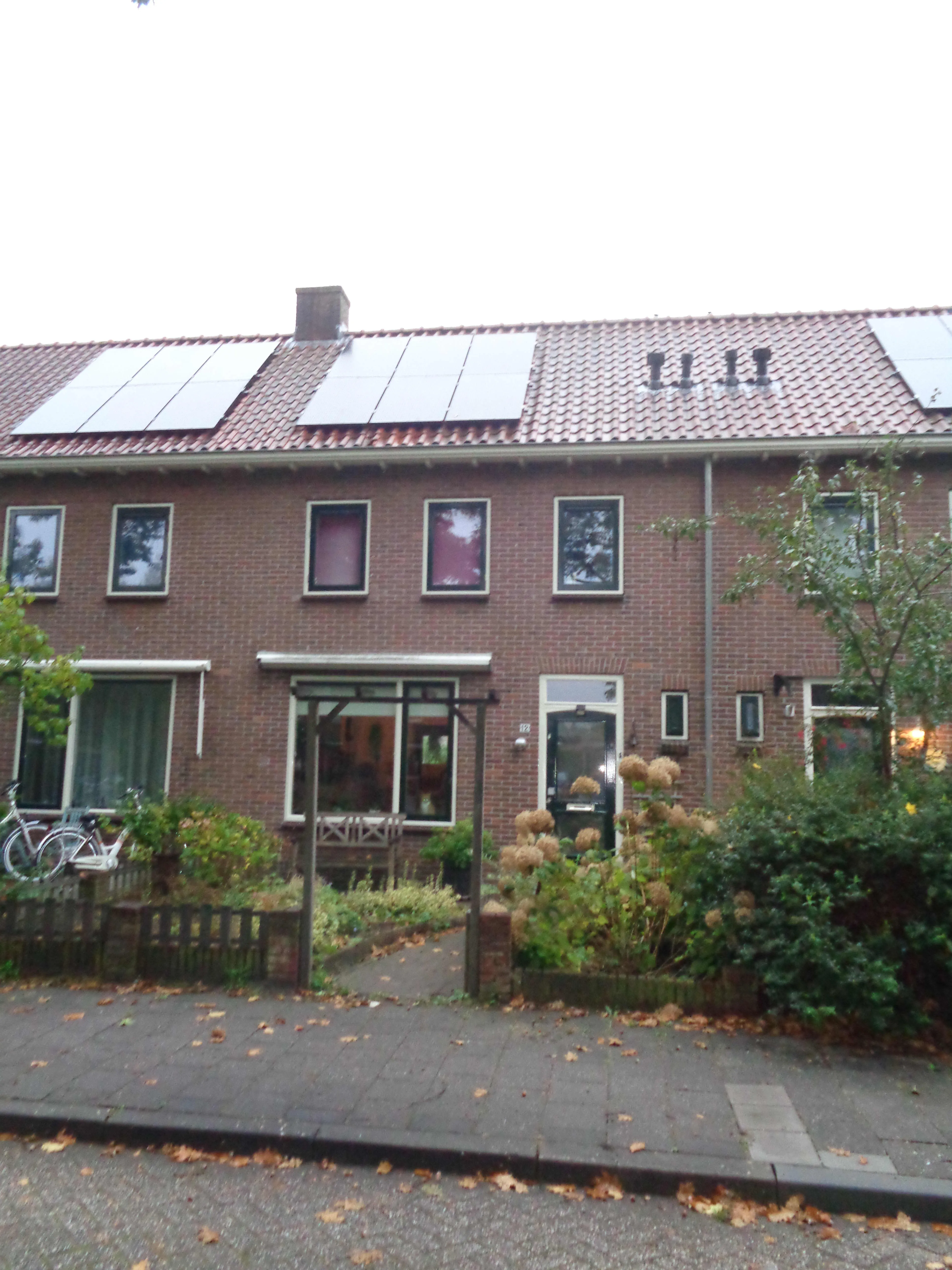 Vredebestlaan