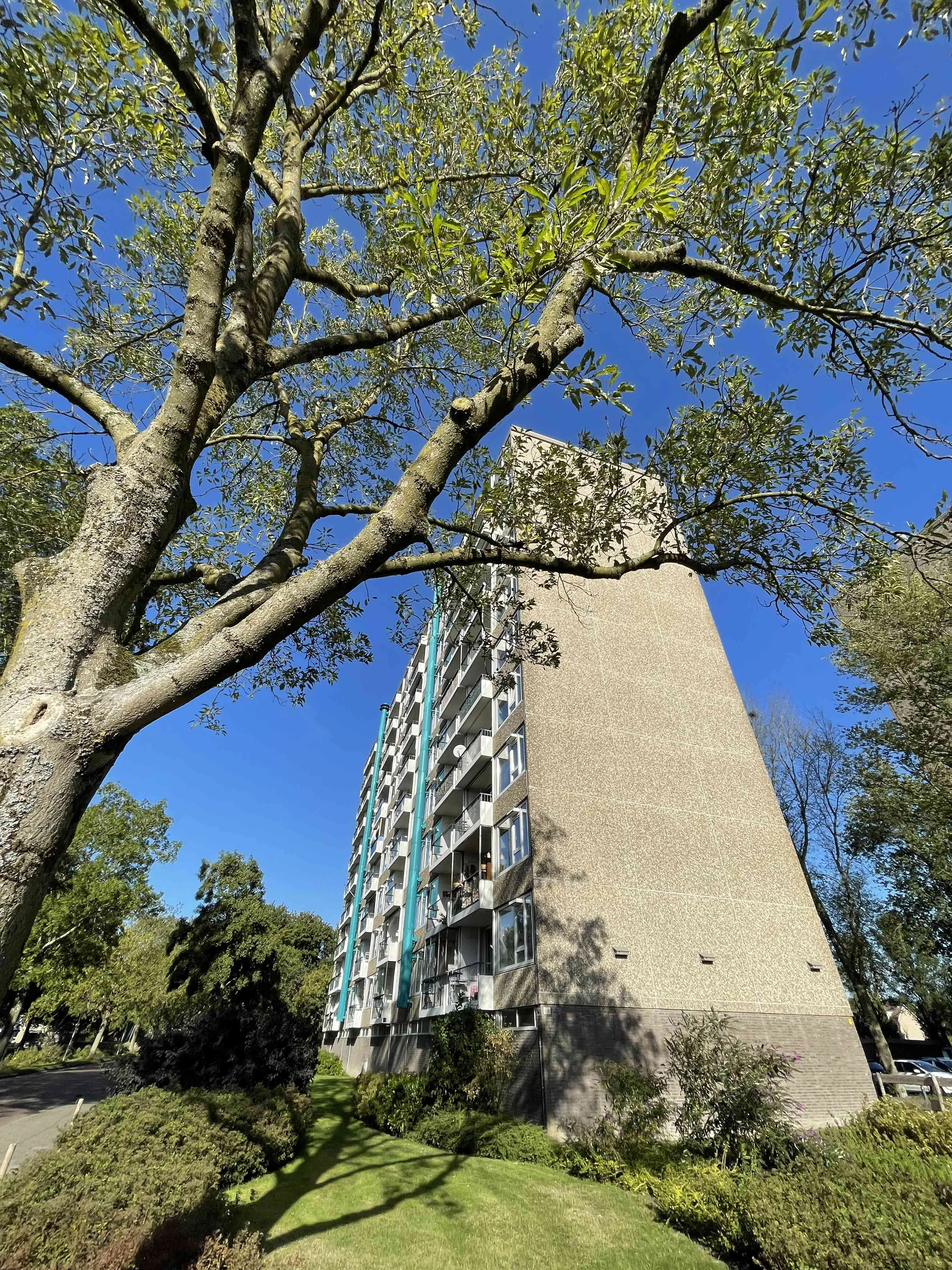 Gerard van Lomstraat