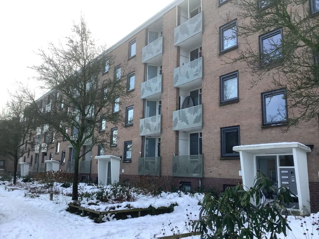 De Savornin Lohmanweg