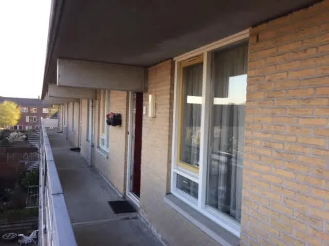 Pieter de Hooghstraat