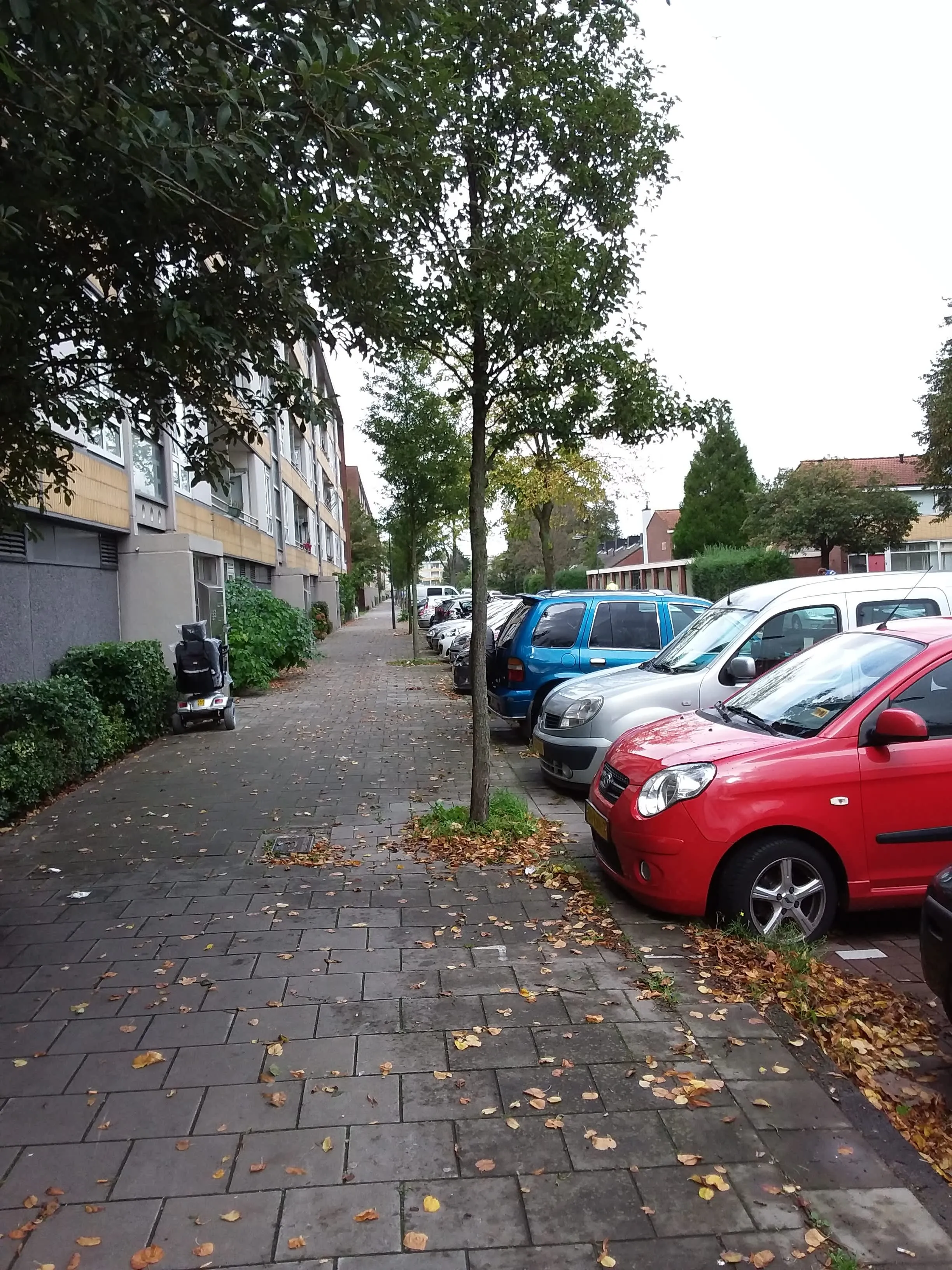 Edward Jennerstraat