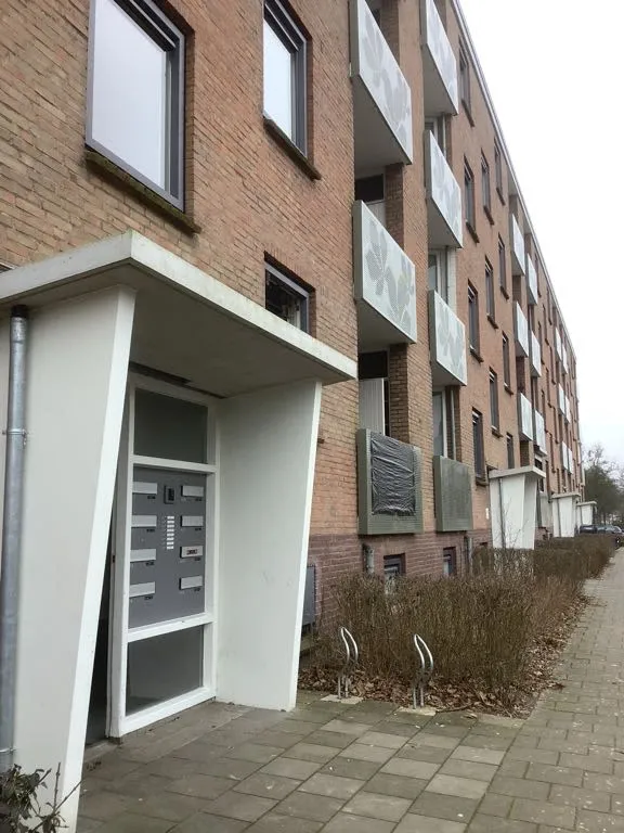 De Savornin Lohmanweg