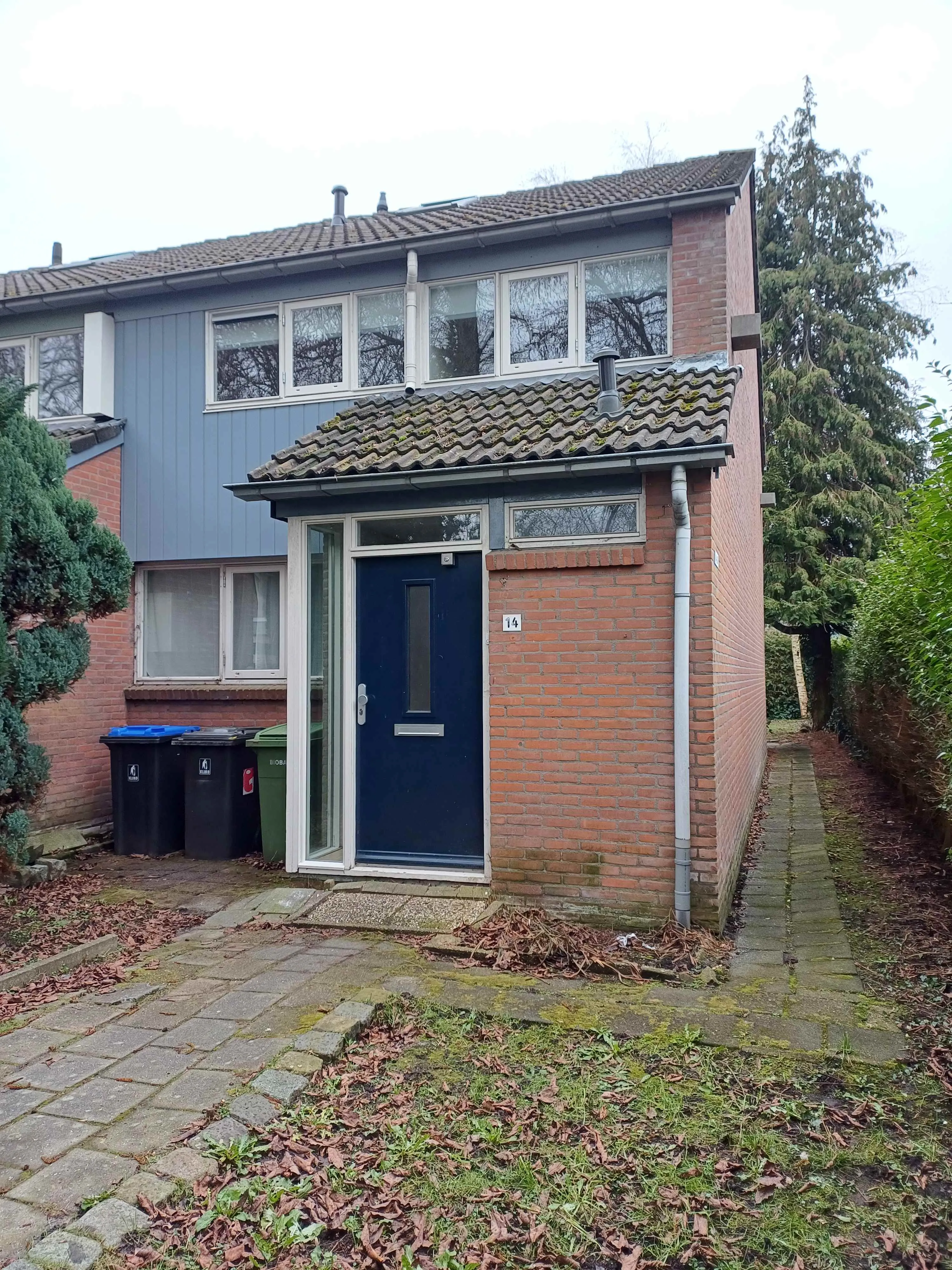 Orchideestraat