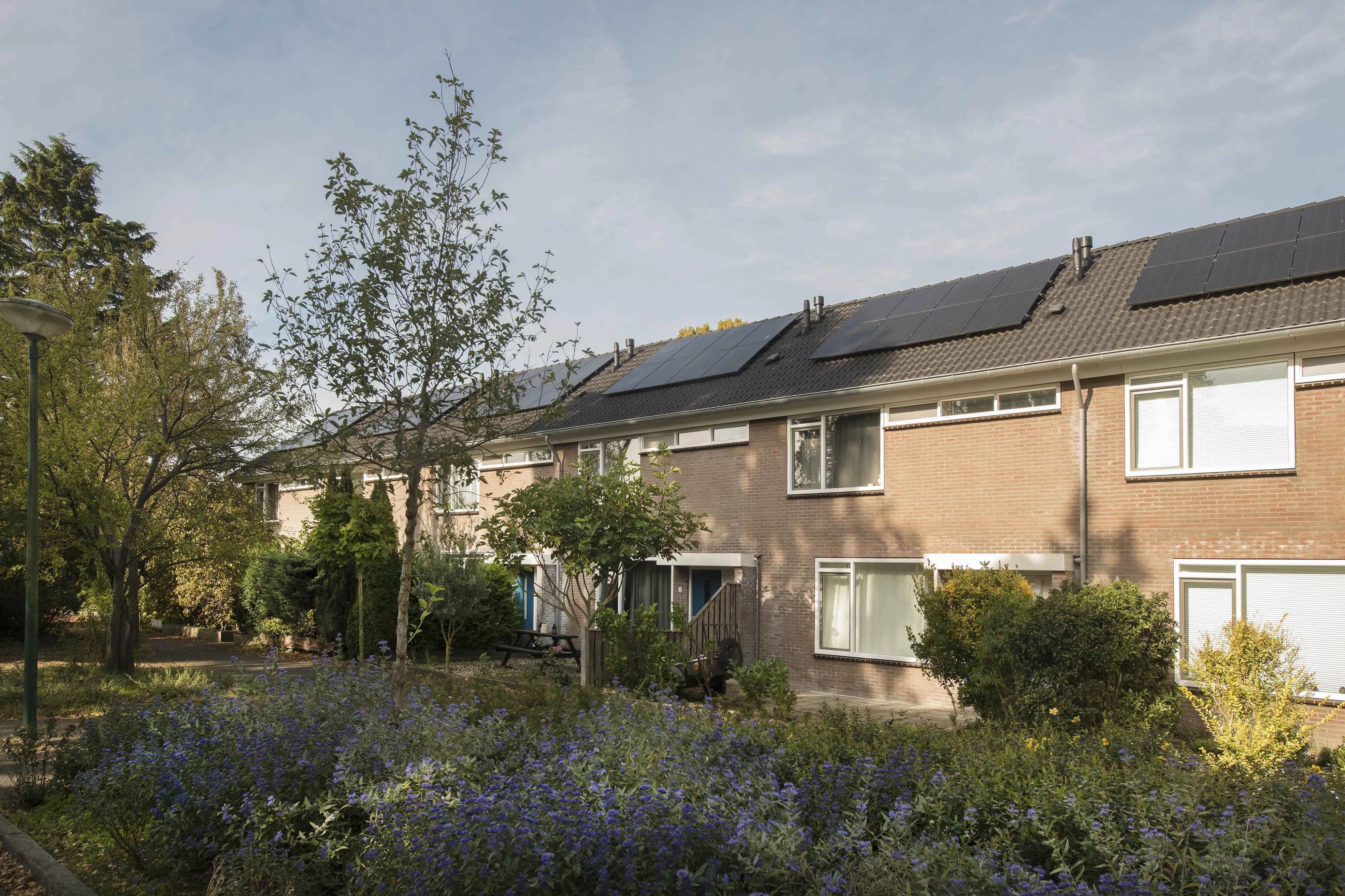 Jacob van Campenkwartier