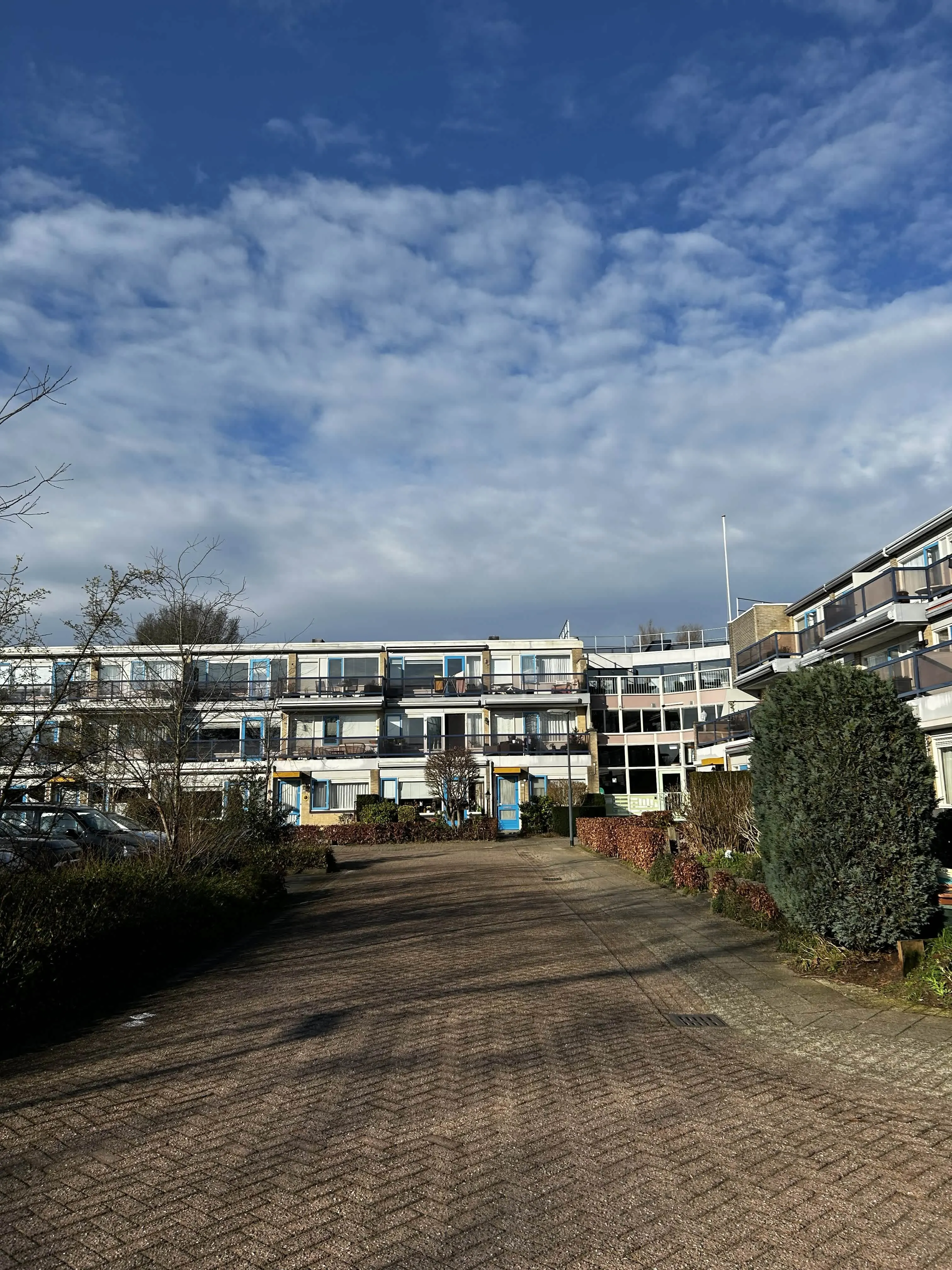 Anna Blamanstraat 221 4207KM Gorinchem