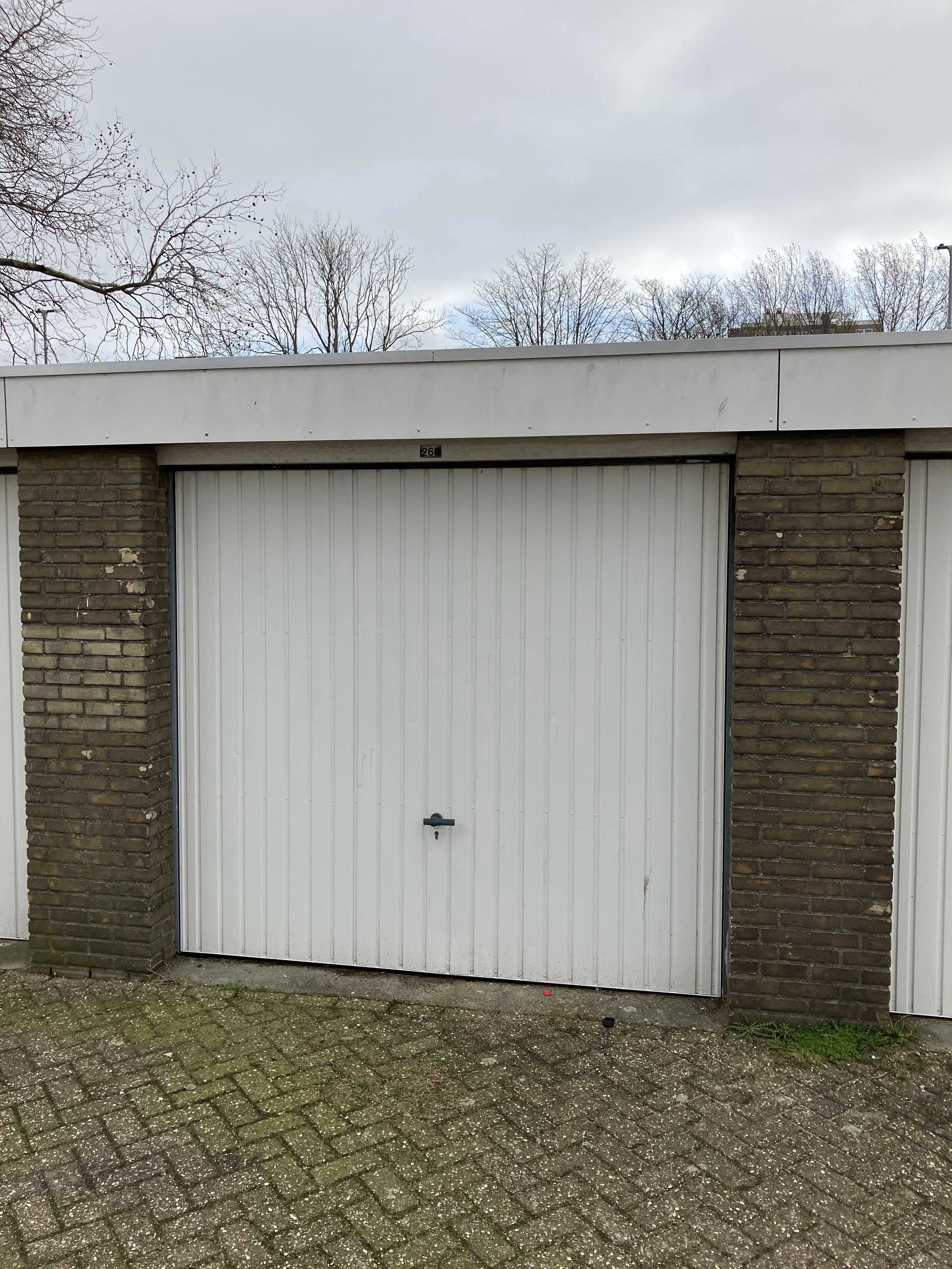 Leonard Springerlaan