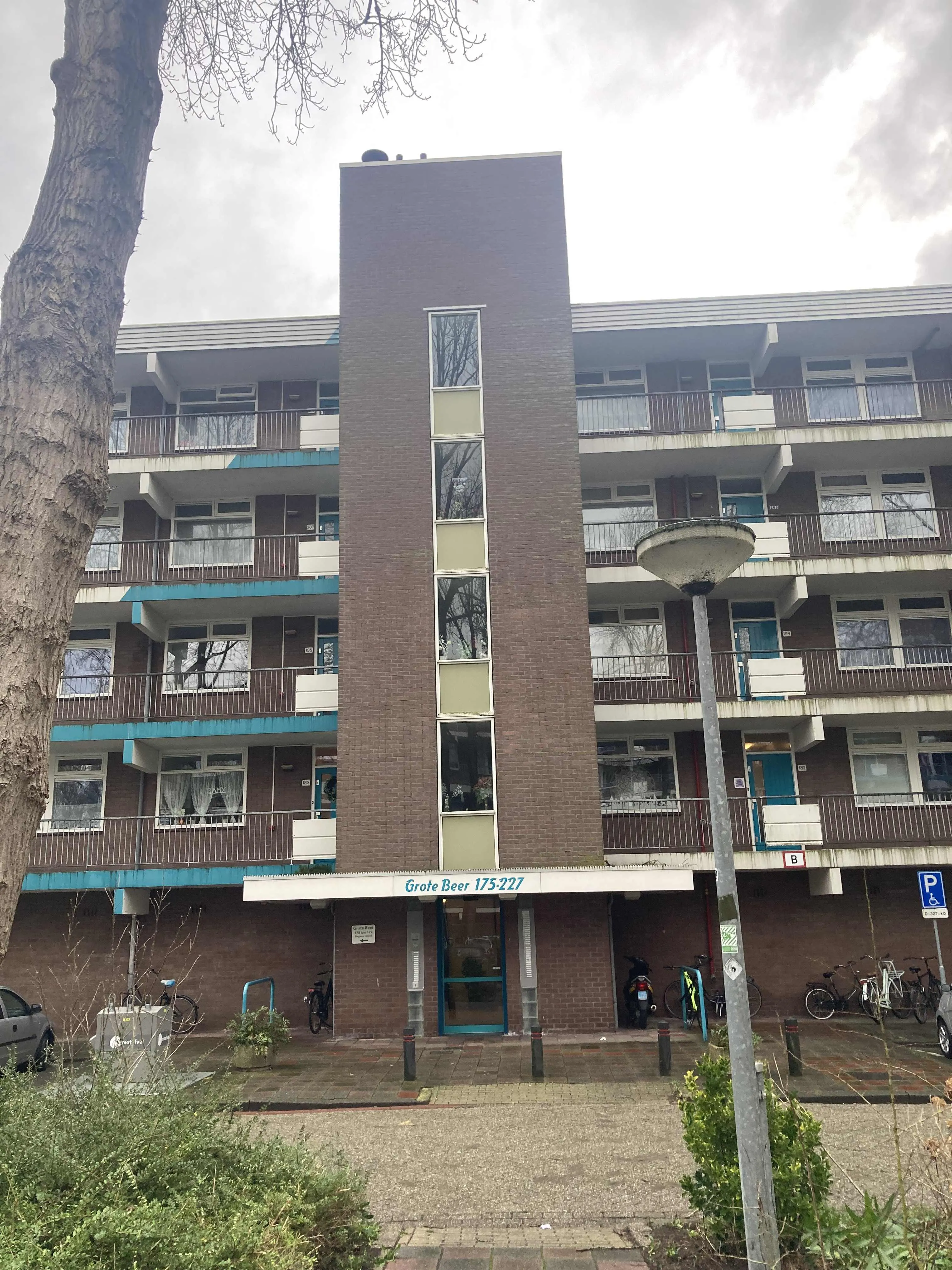 Grote Beer 190 1562VW Krommenie