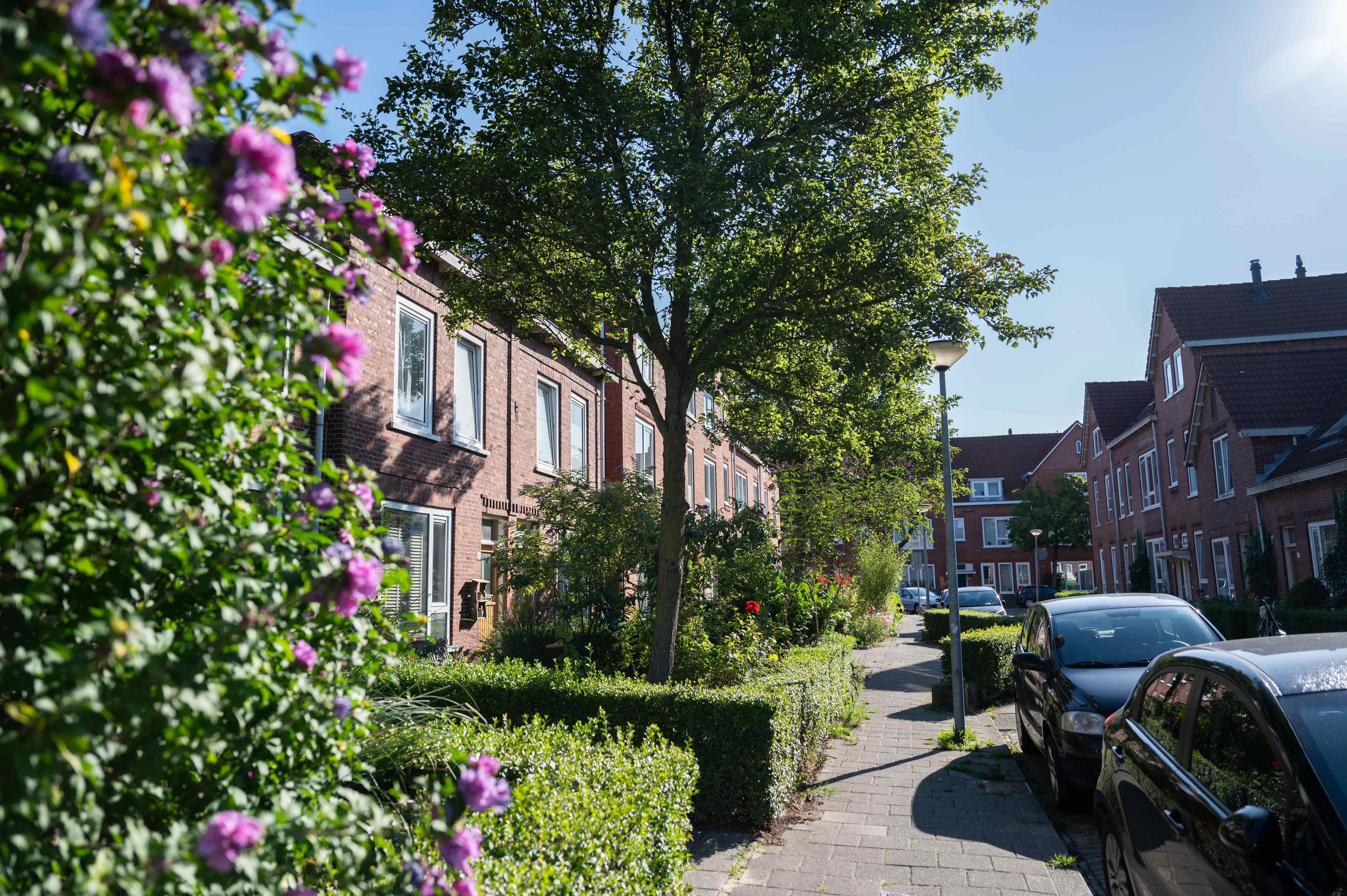 Graaf Adolfstraat 5 9717EA Groningen