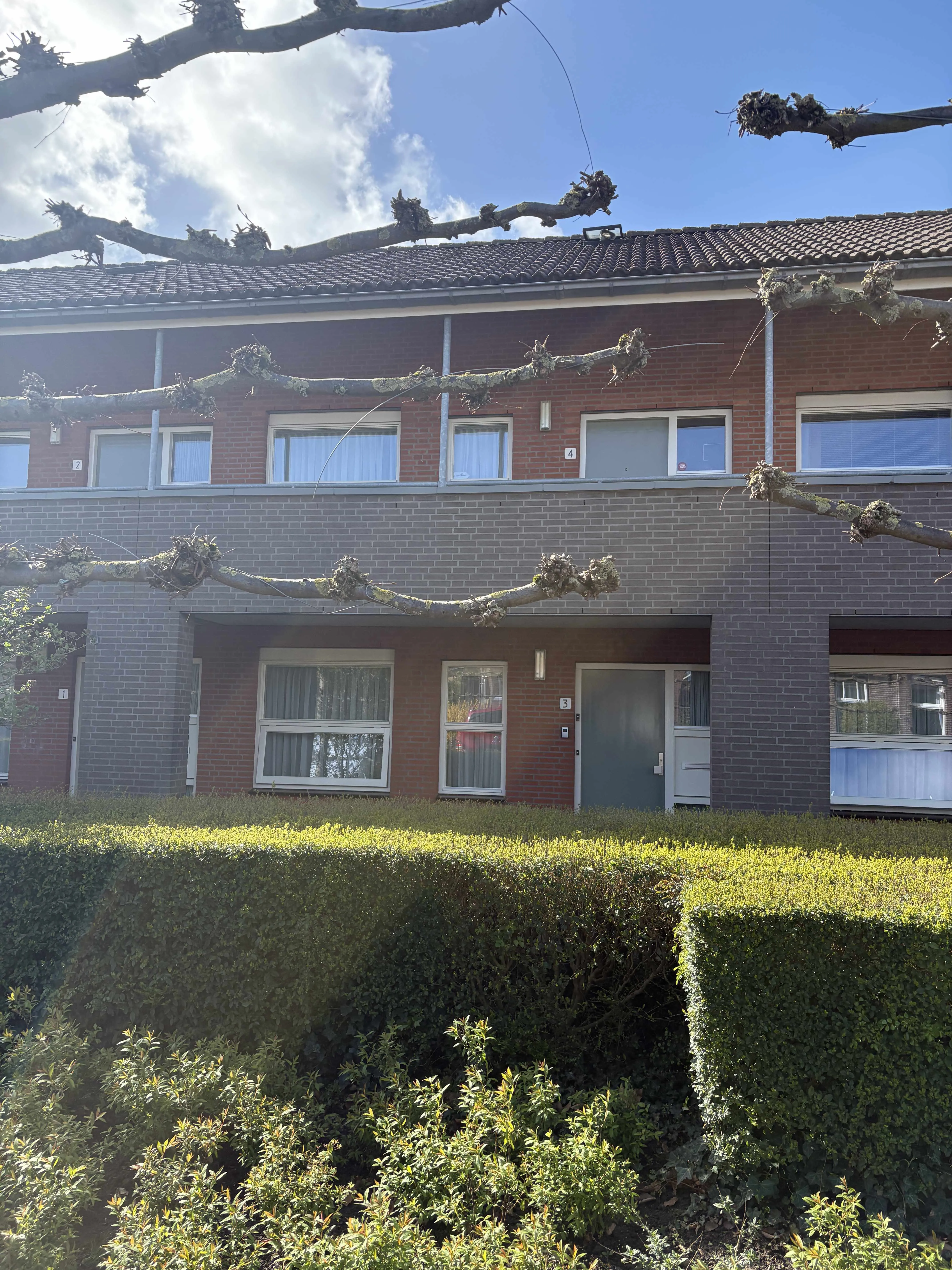 Nieuw Hollenhof 3 6659CR Wamel