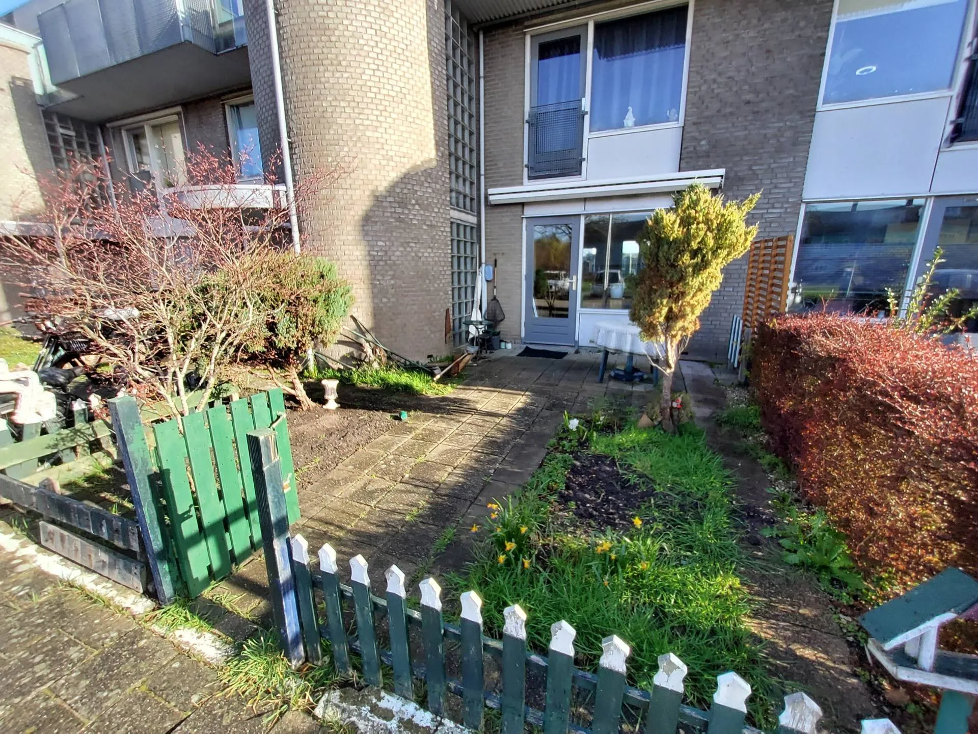 Waterscheerling 13 1991JT Velserbroek