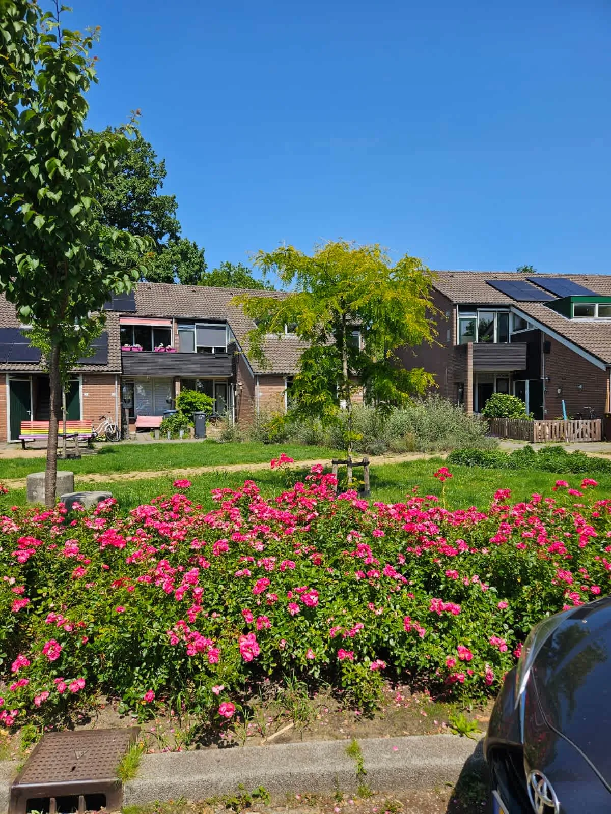 Bloemengaard 49 3941TB Doorn