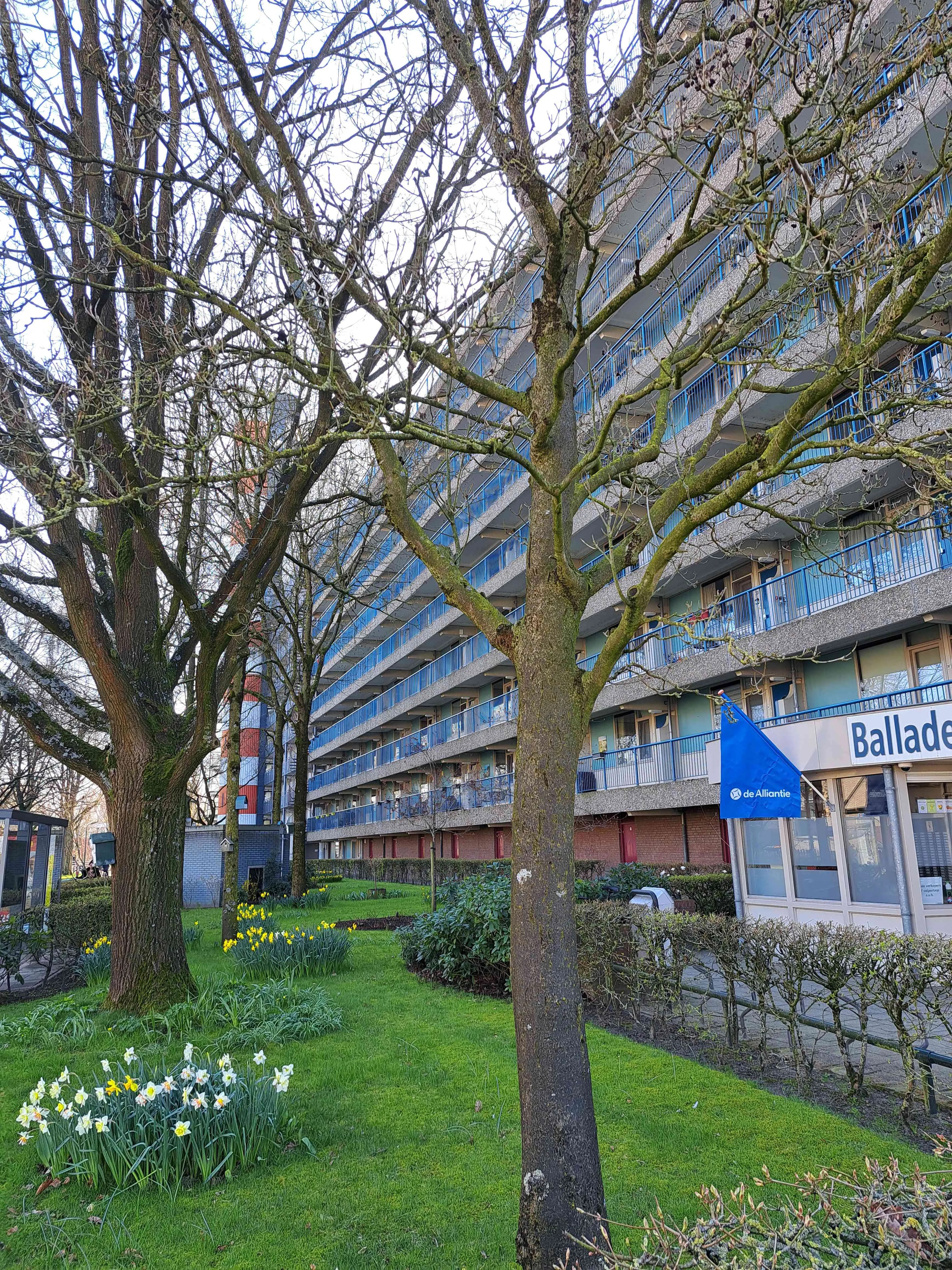Balladelaan