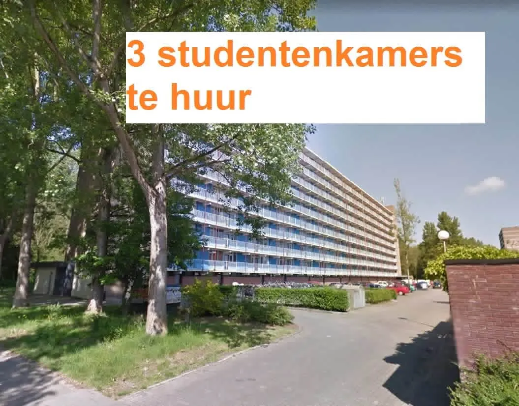 Saffierstraat 88 9743LK Groningen