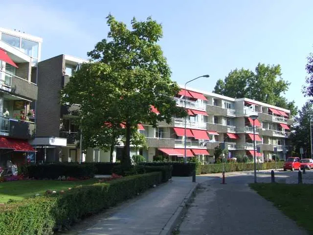 Schaepmanstraat