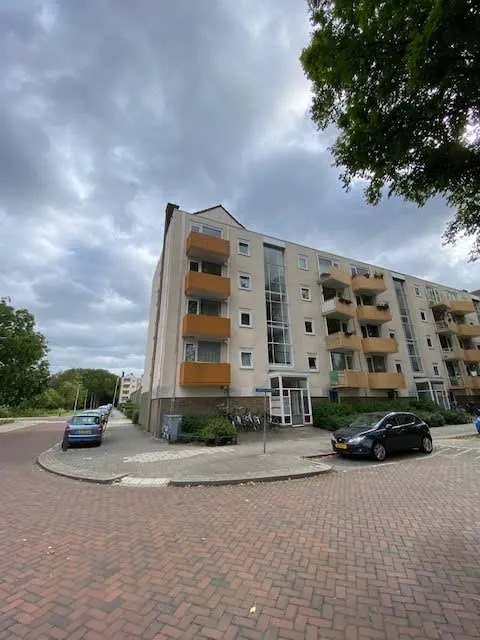 Schonauwensingel