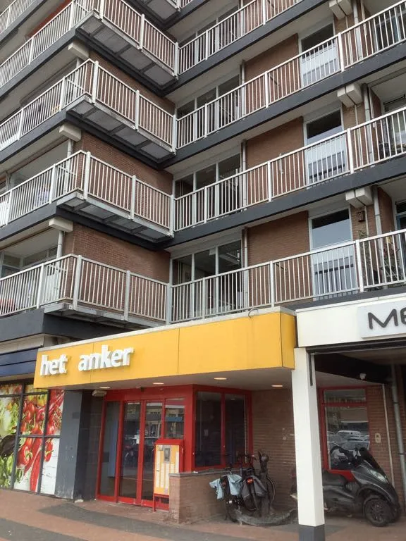 Wilgenplein 310 2951EP Alblasserdam