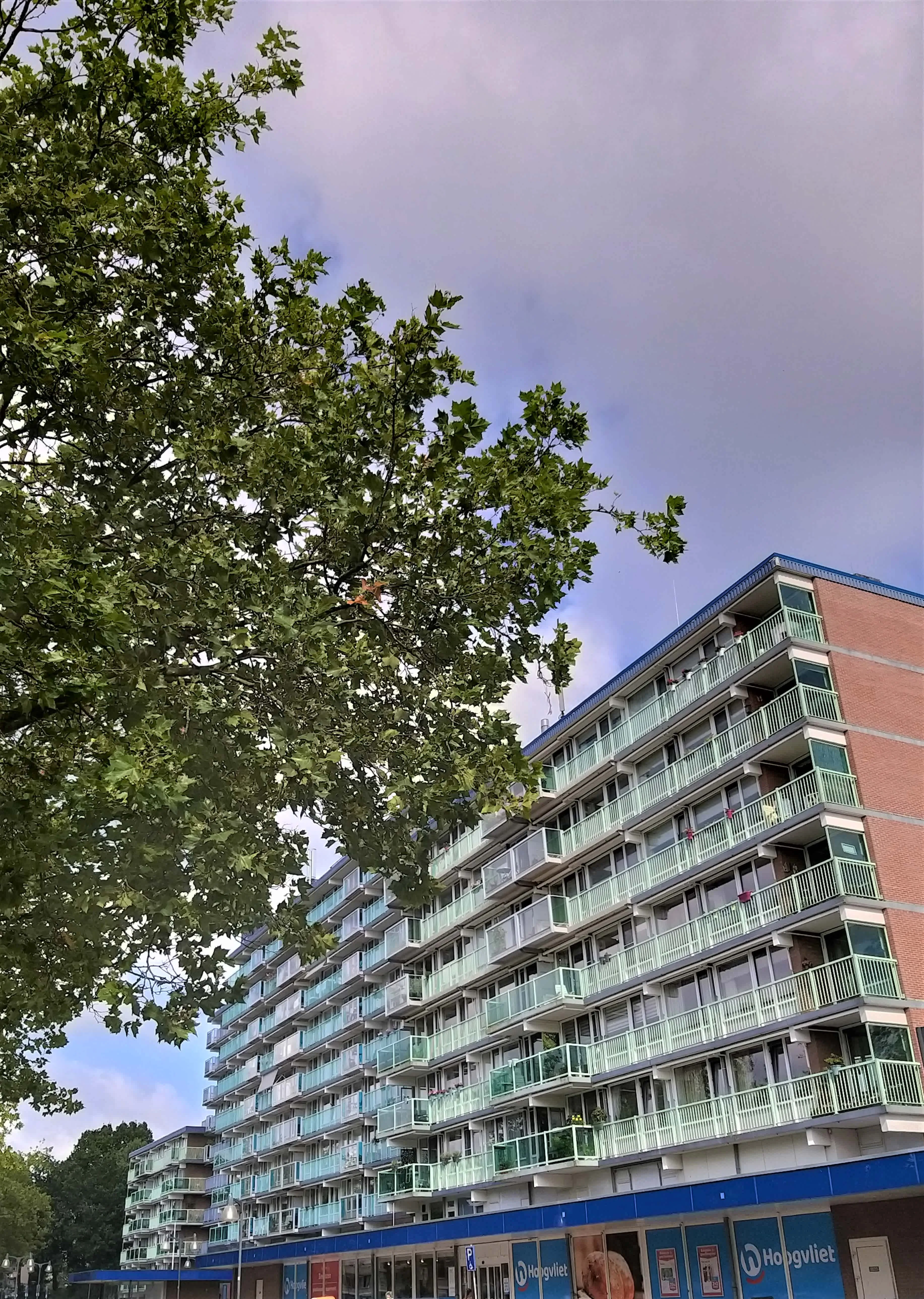 Wiardi Beckmanstraat