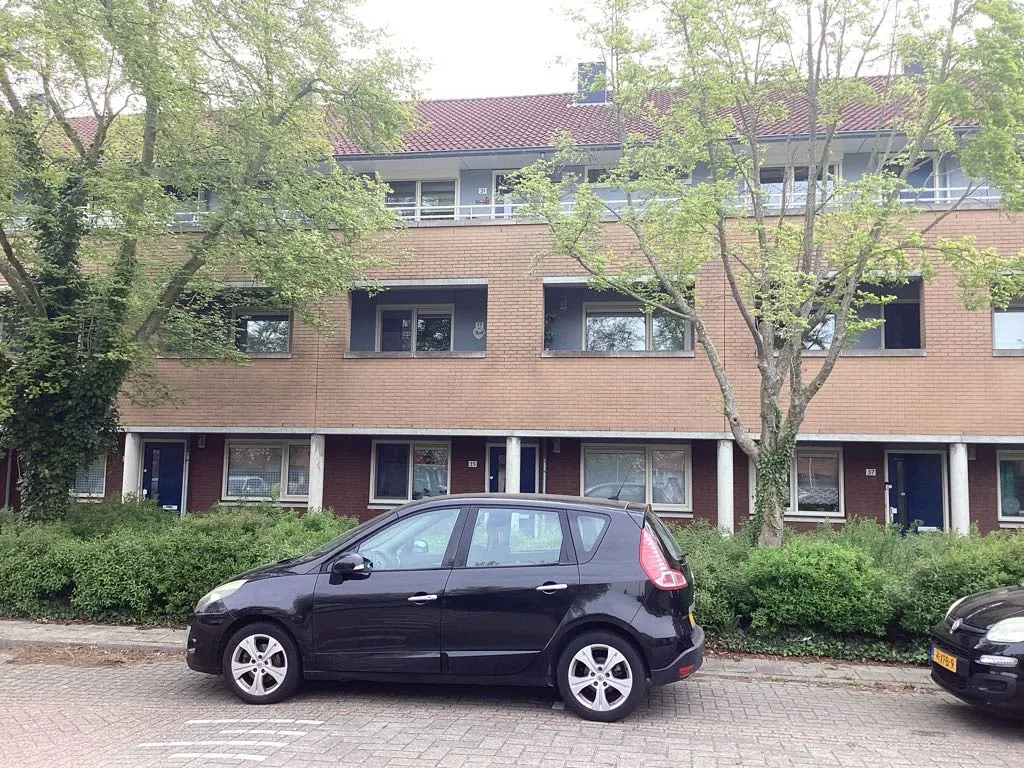 Simon de Vliegerhage