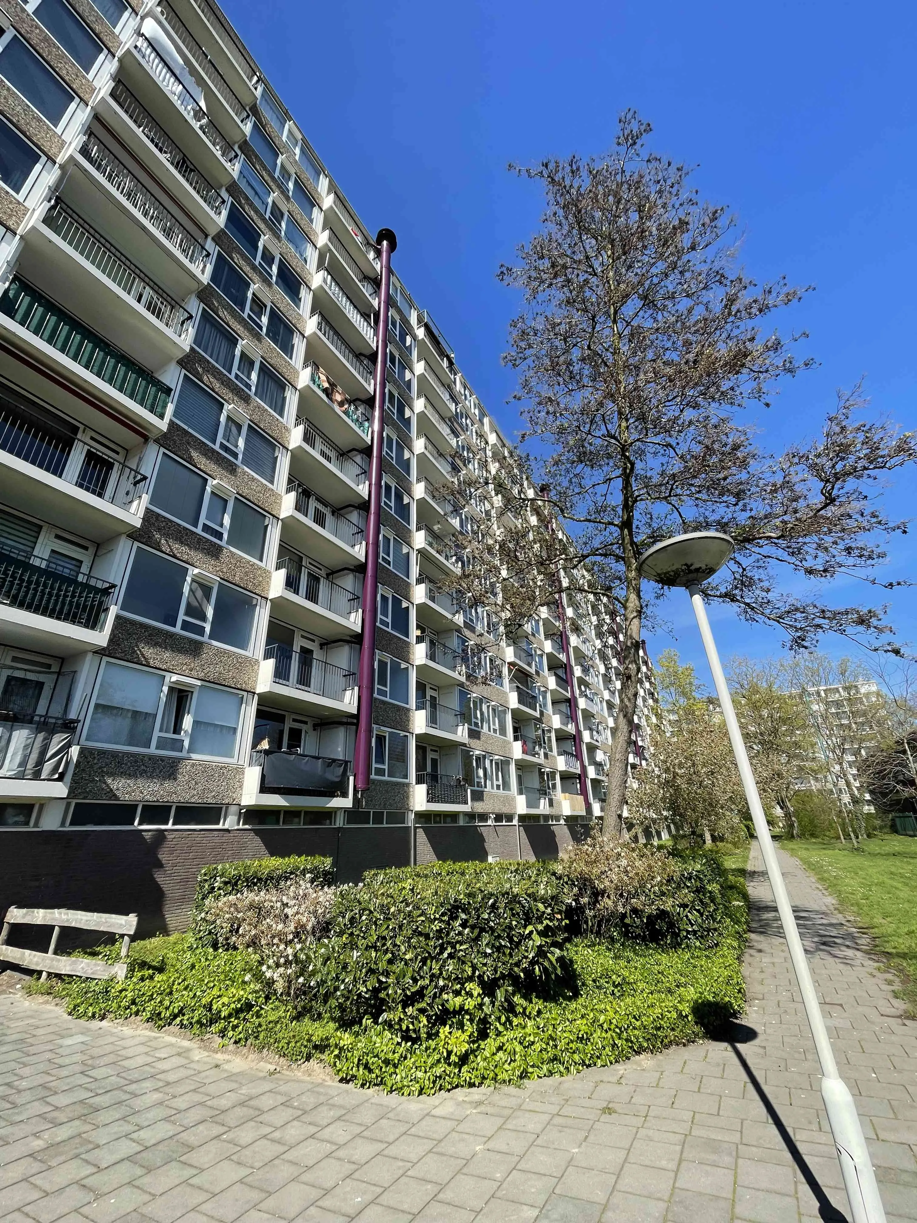 Barbierstraat