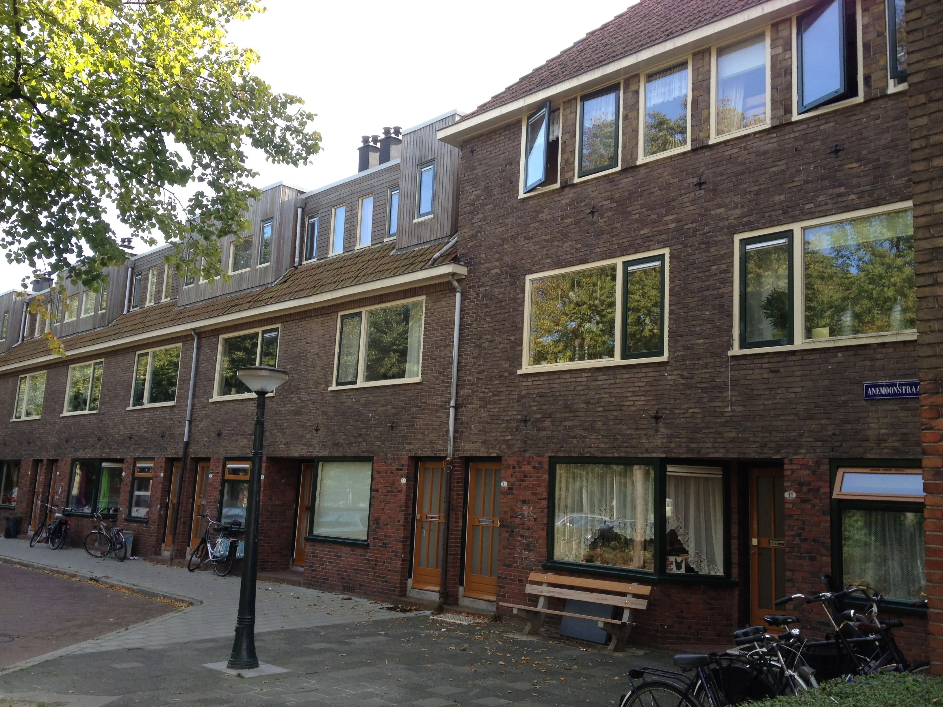 Anemoonstraat