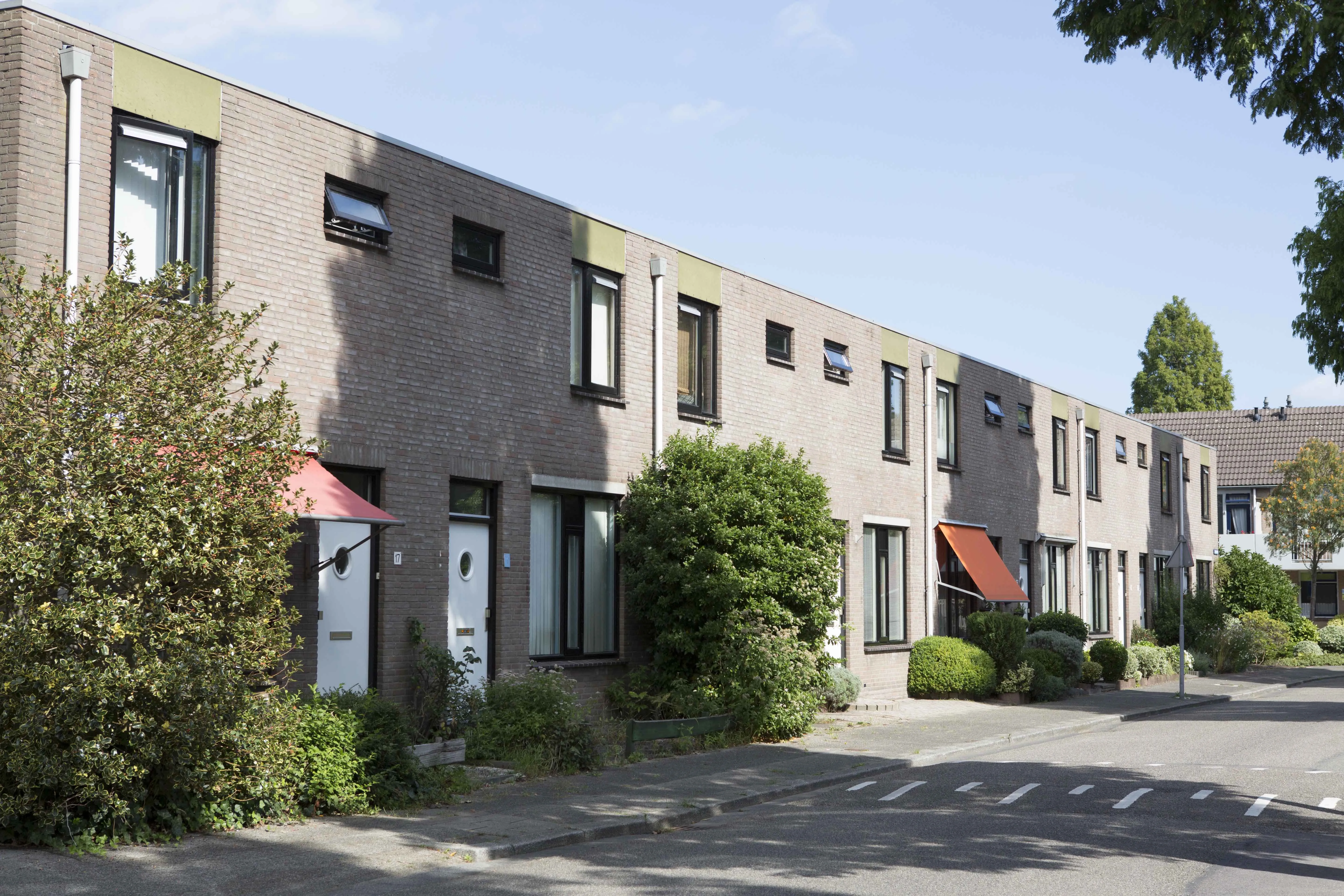 Zuiderwerf