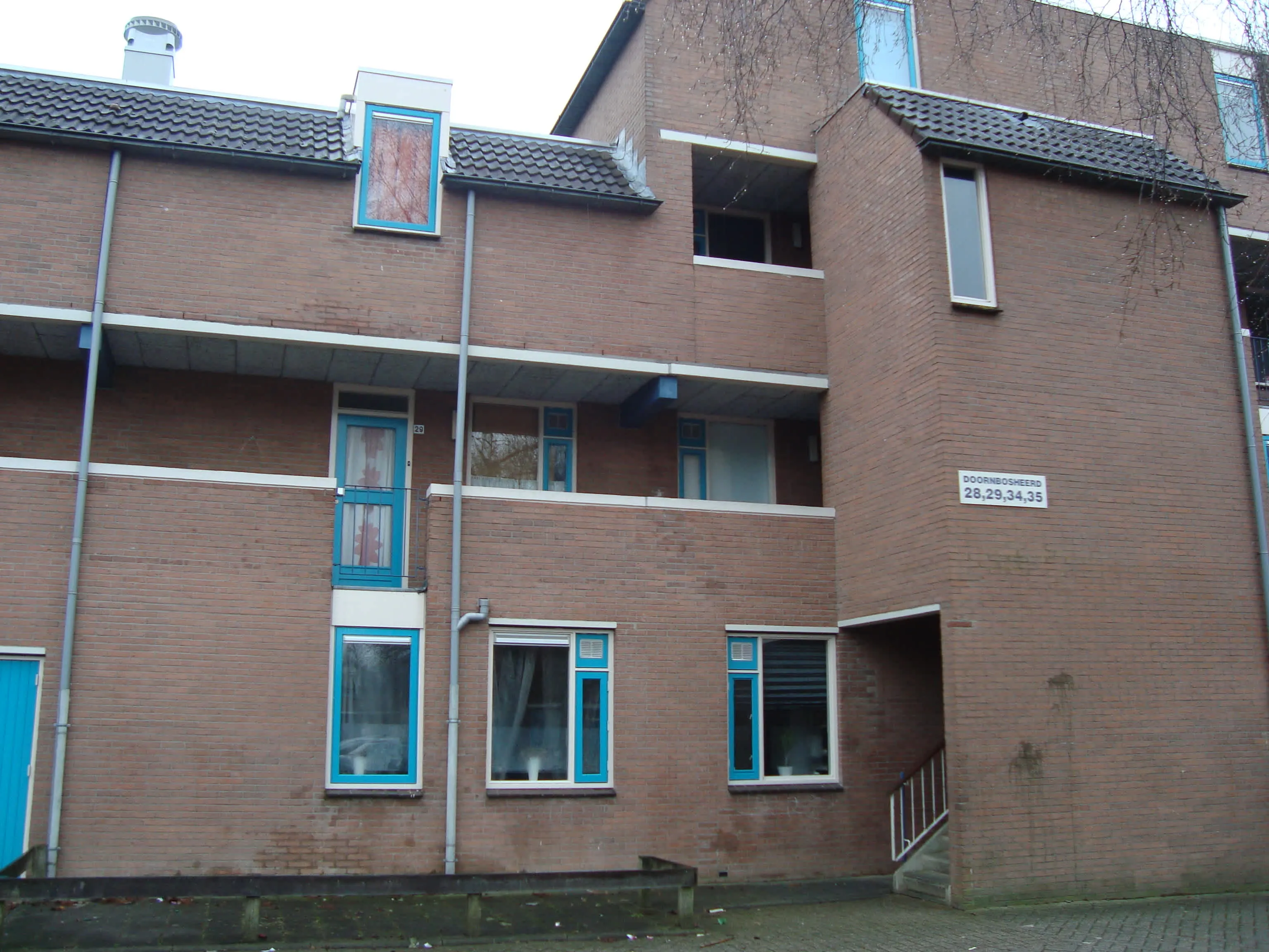 Doornbosheerd