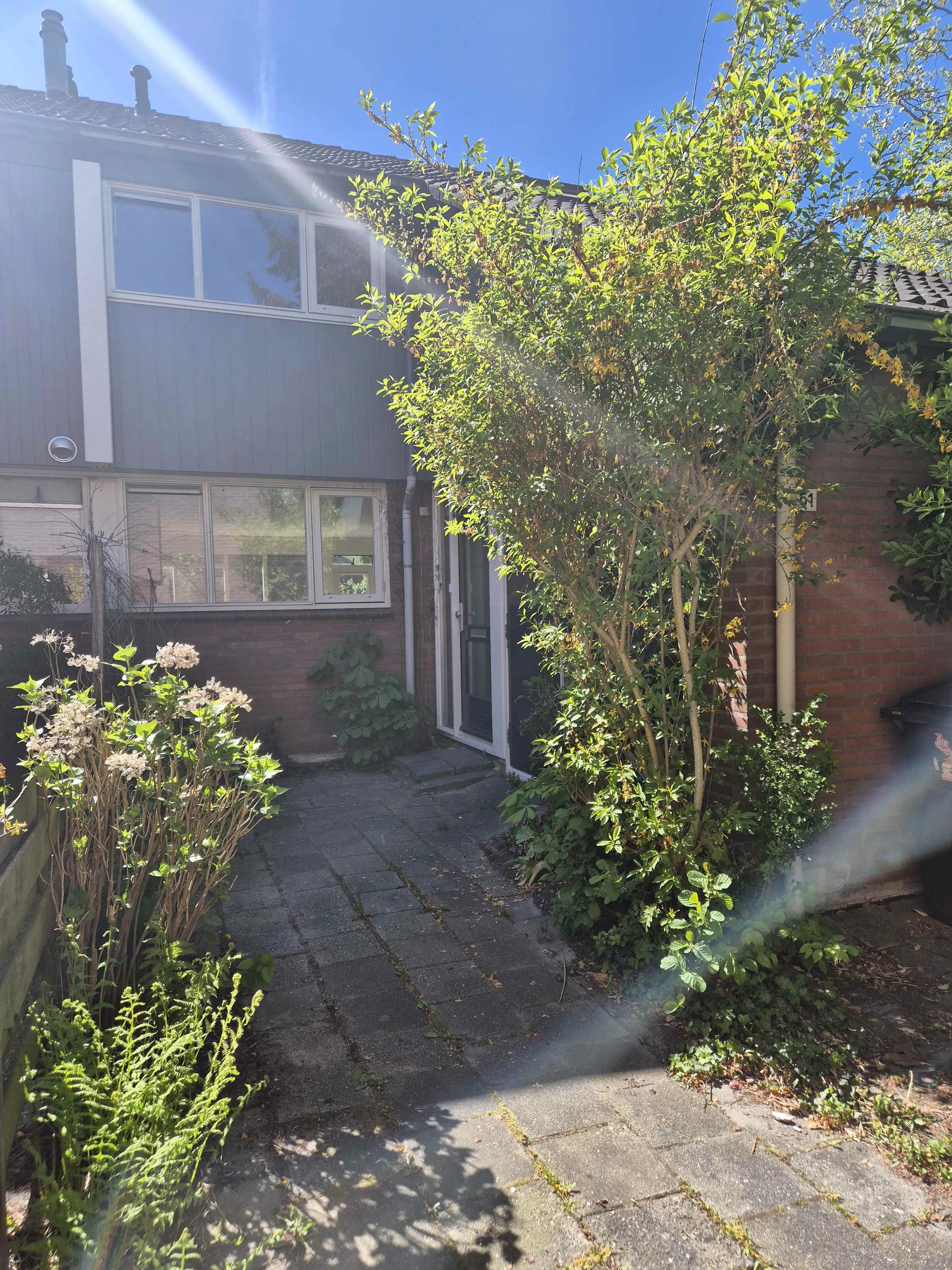Orchideestraat 51 9731GD Groningen