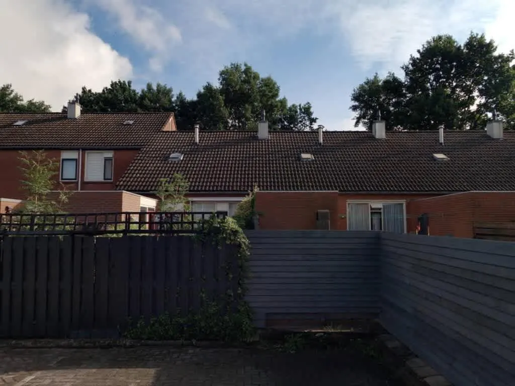 Esdoornstraat