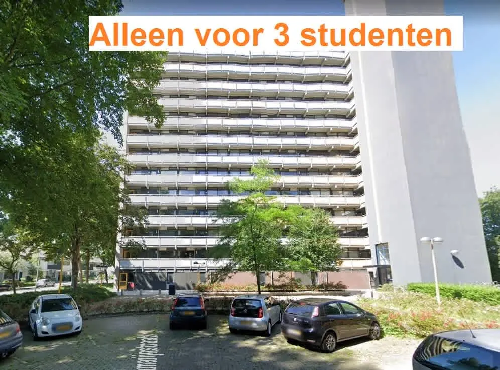 Aquamarijnstraat