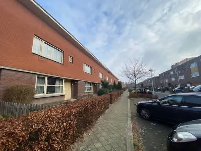 Ruijgenhoeksepolder