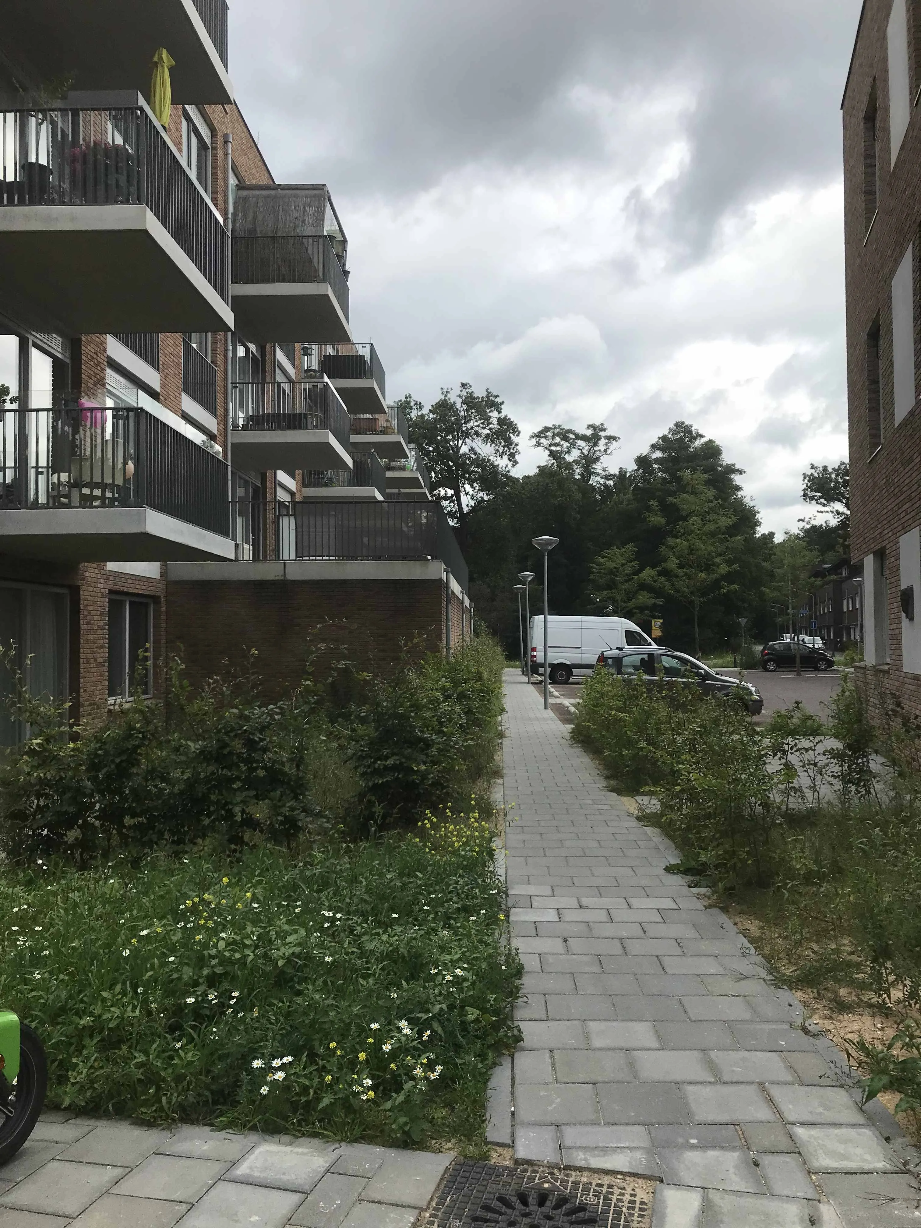 Dasselaarstraat