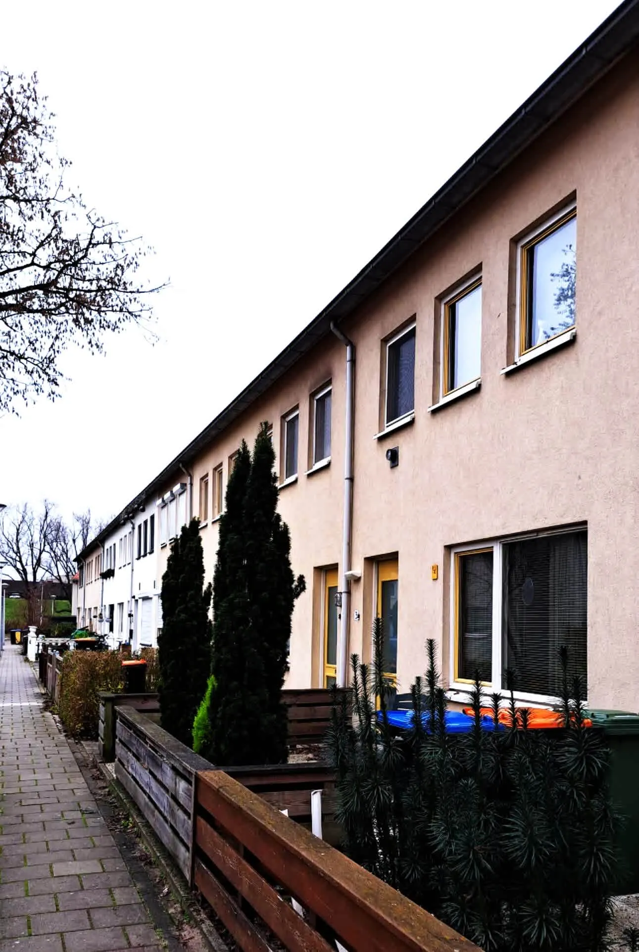 Speenkruidstraat