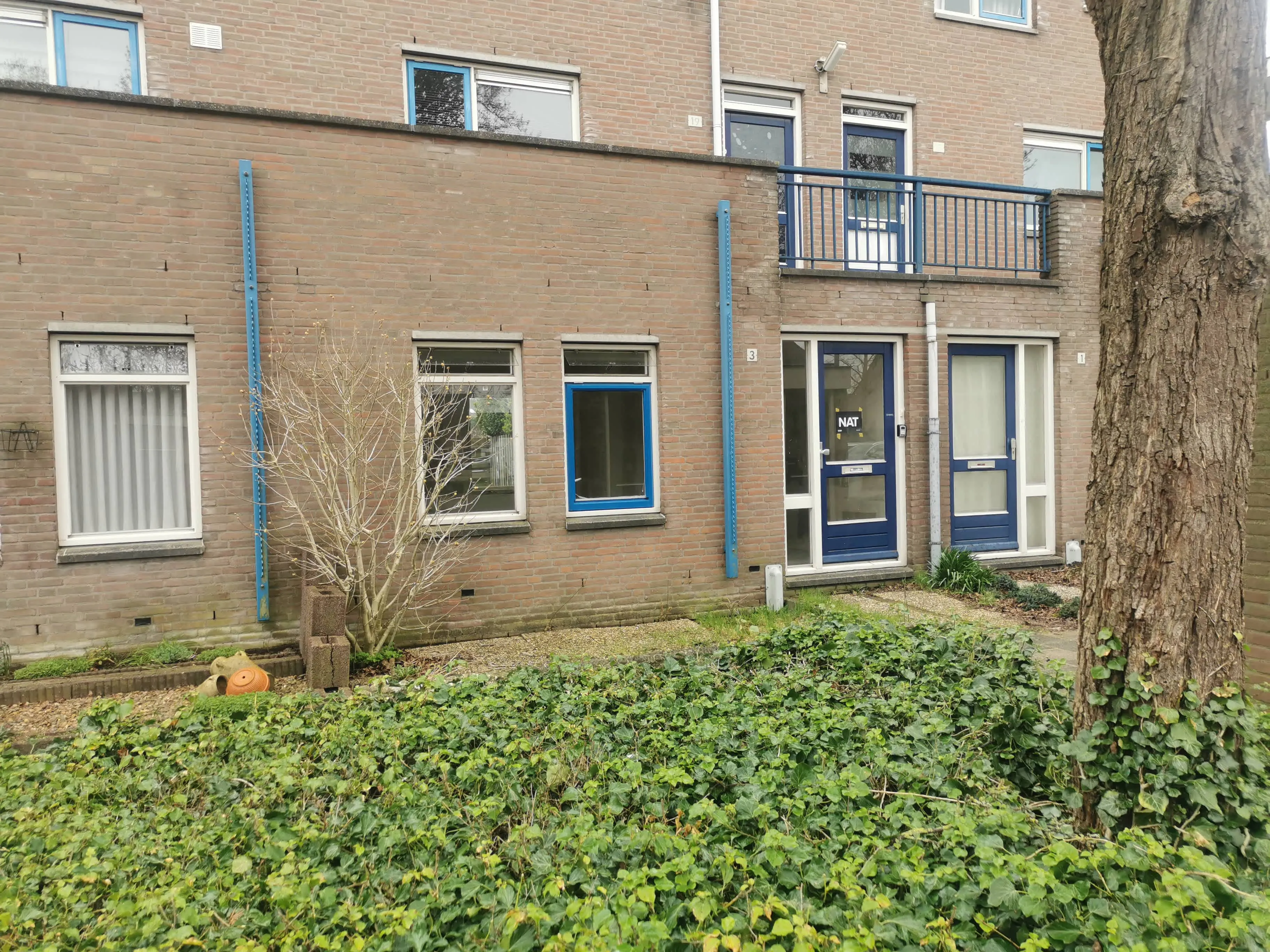 Lisdoddestraat