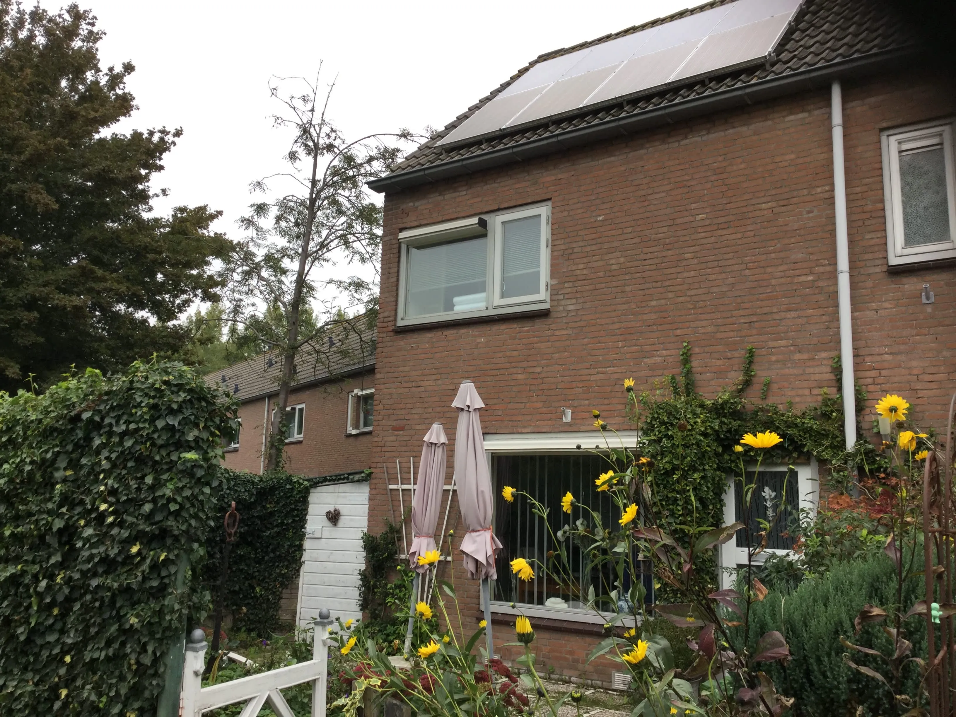Eimerstraat