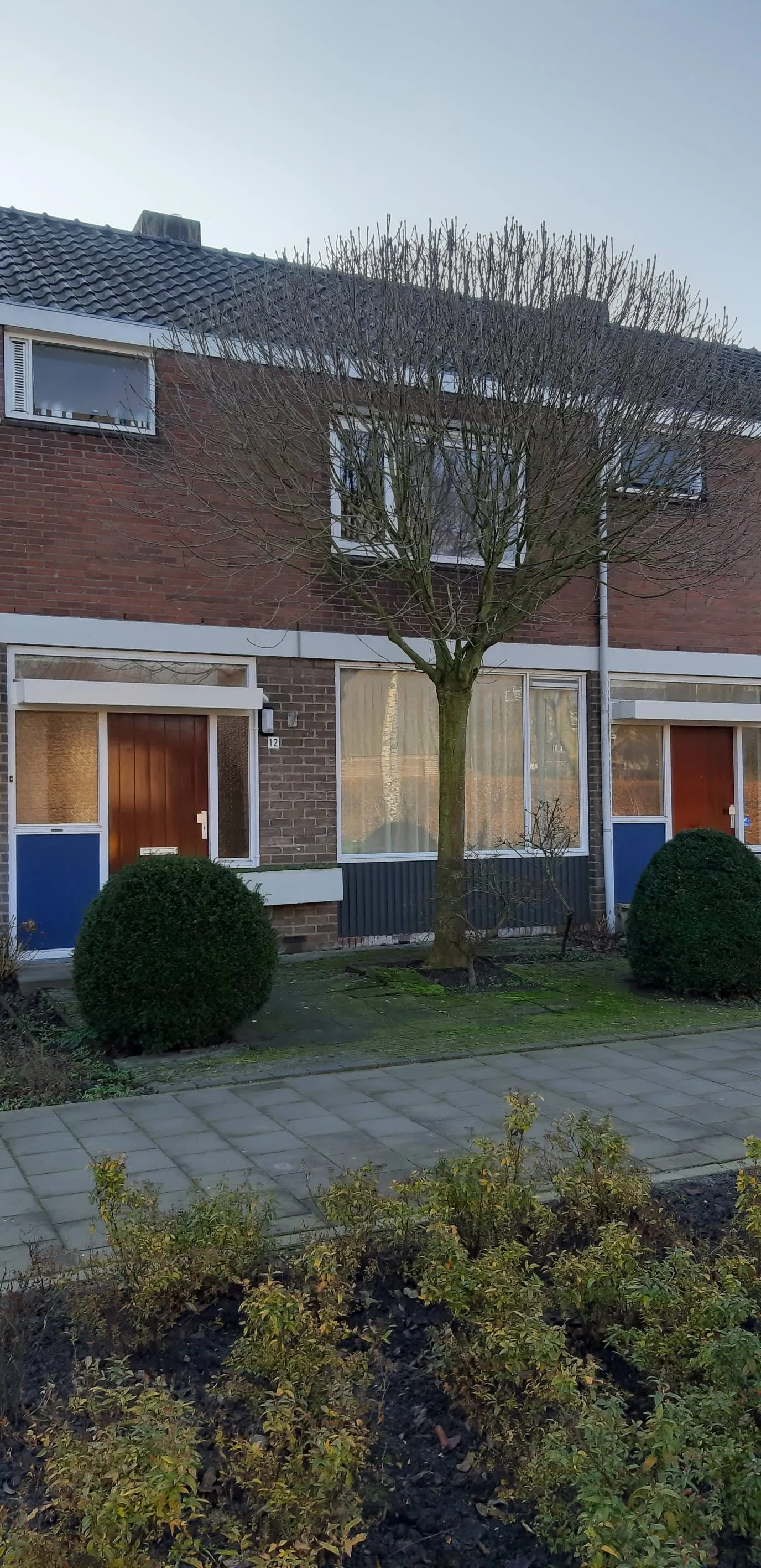 Hyacinthstraat